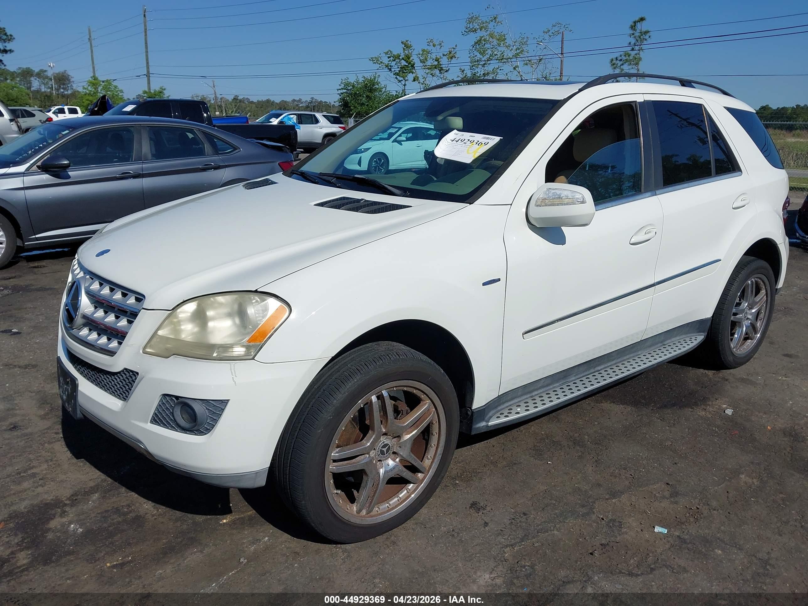 MERCEDES-BENZ ML image 2