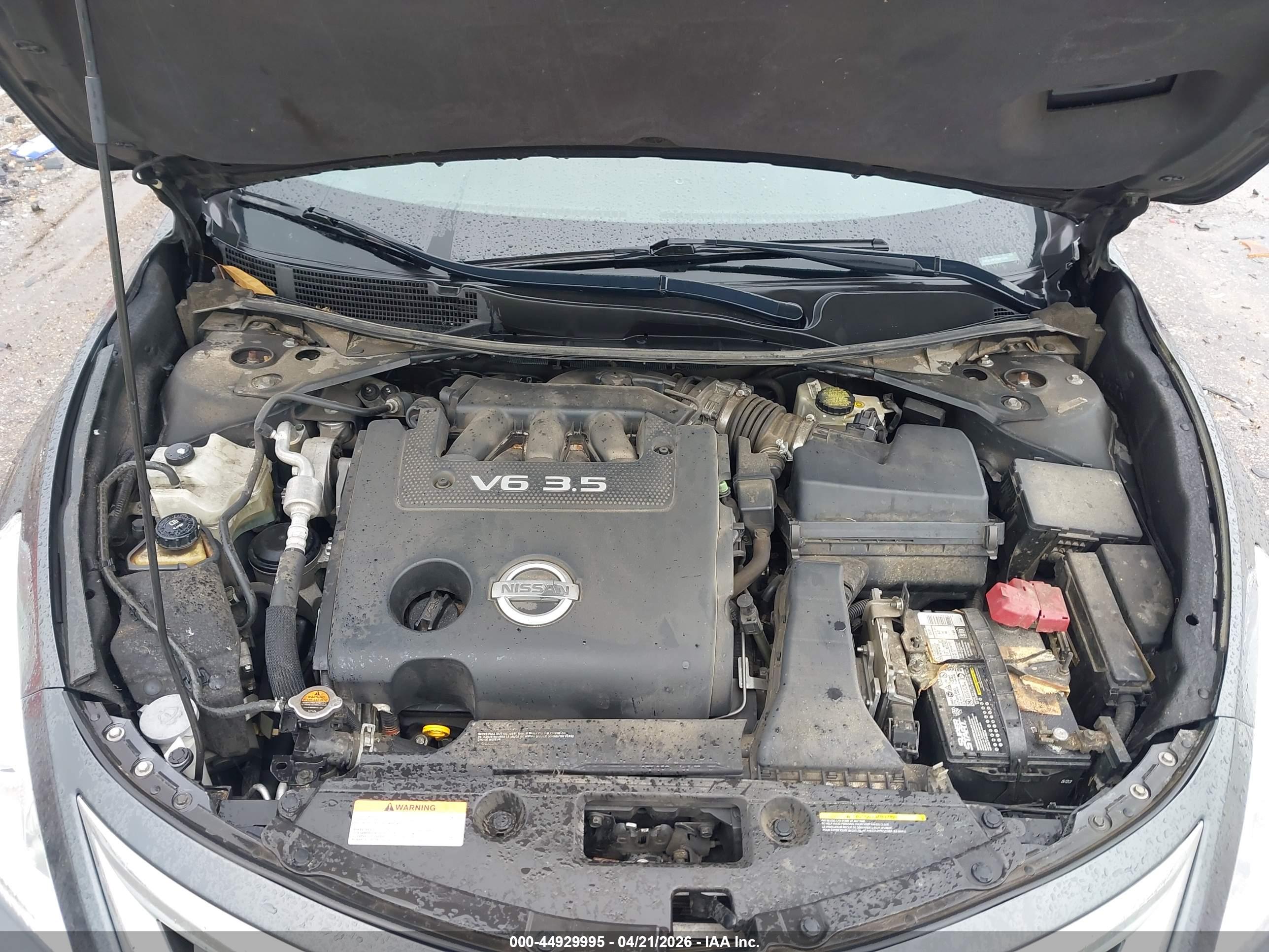 NISSAN ALTIMA image 10