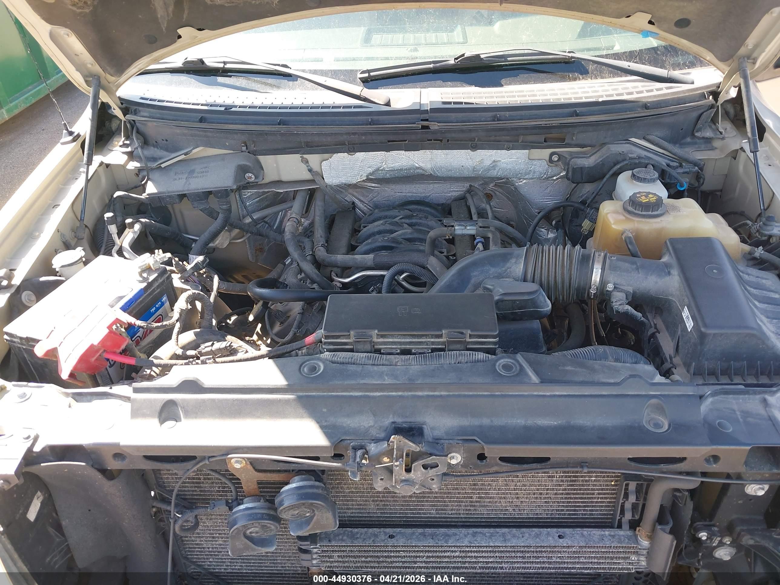 FORD F-150 image 10