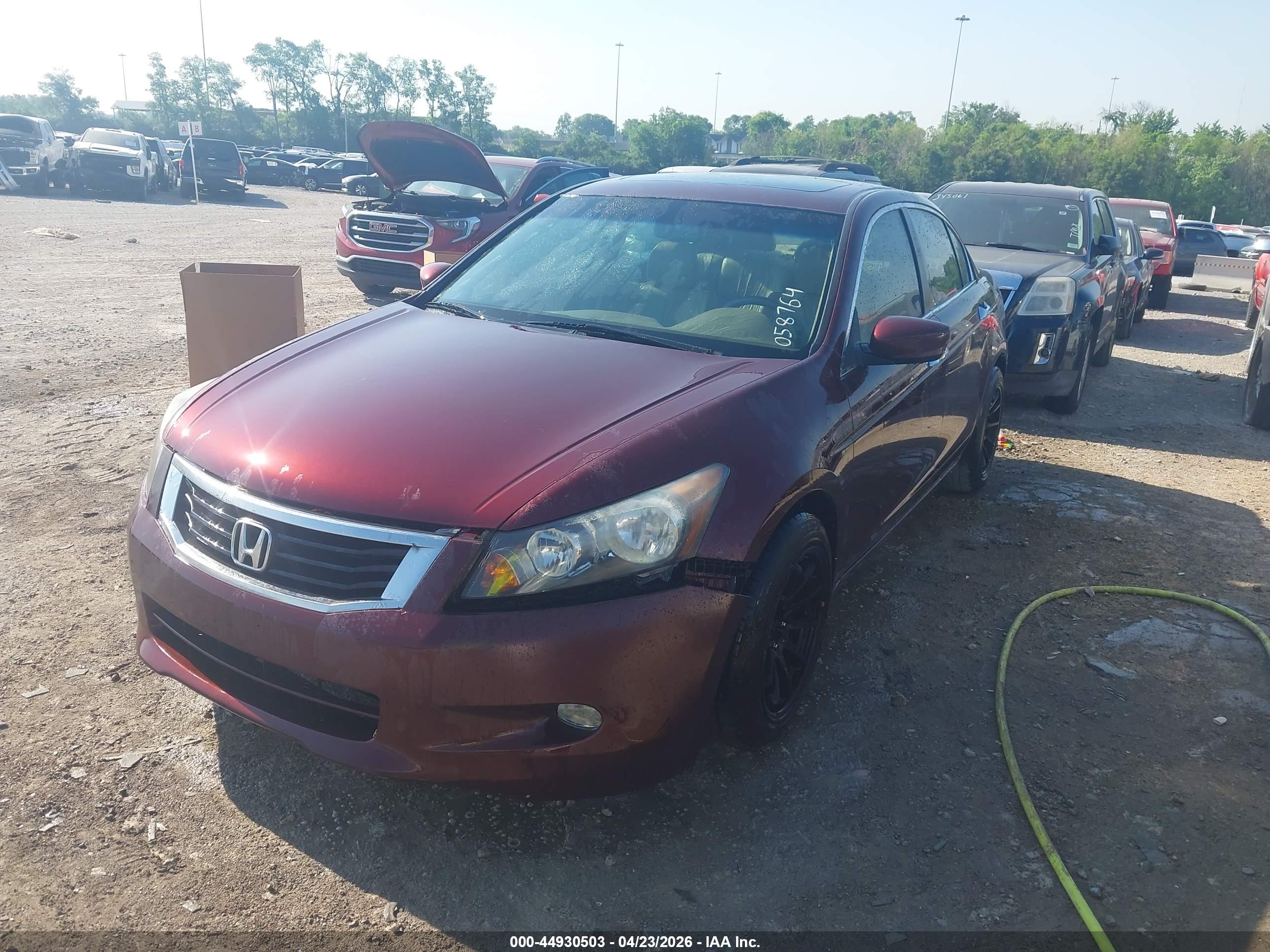 HONDA ACCORD image 2