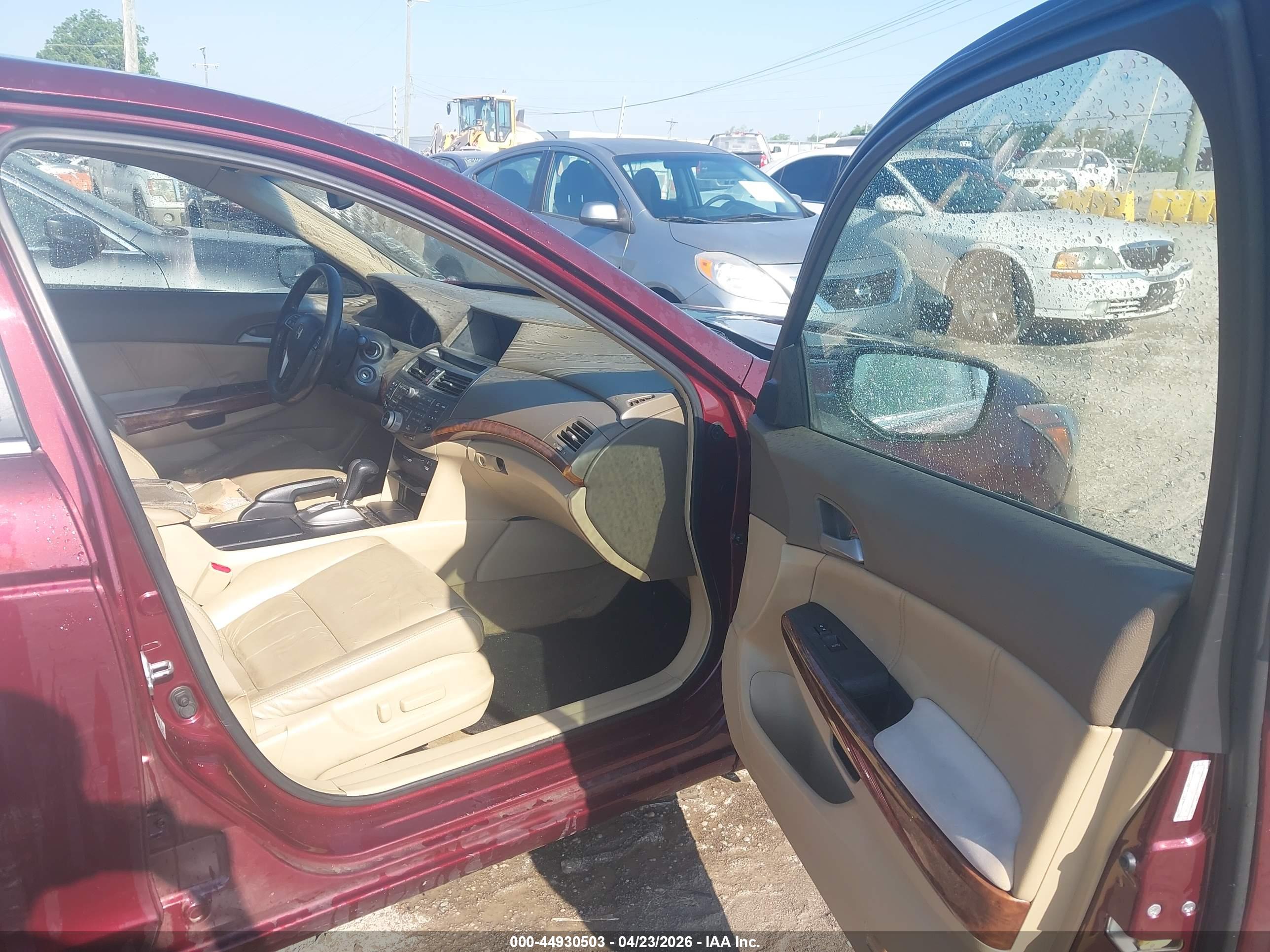 HONDA ACCORD image 5