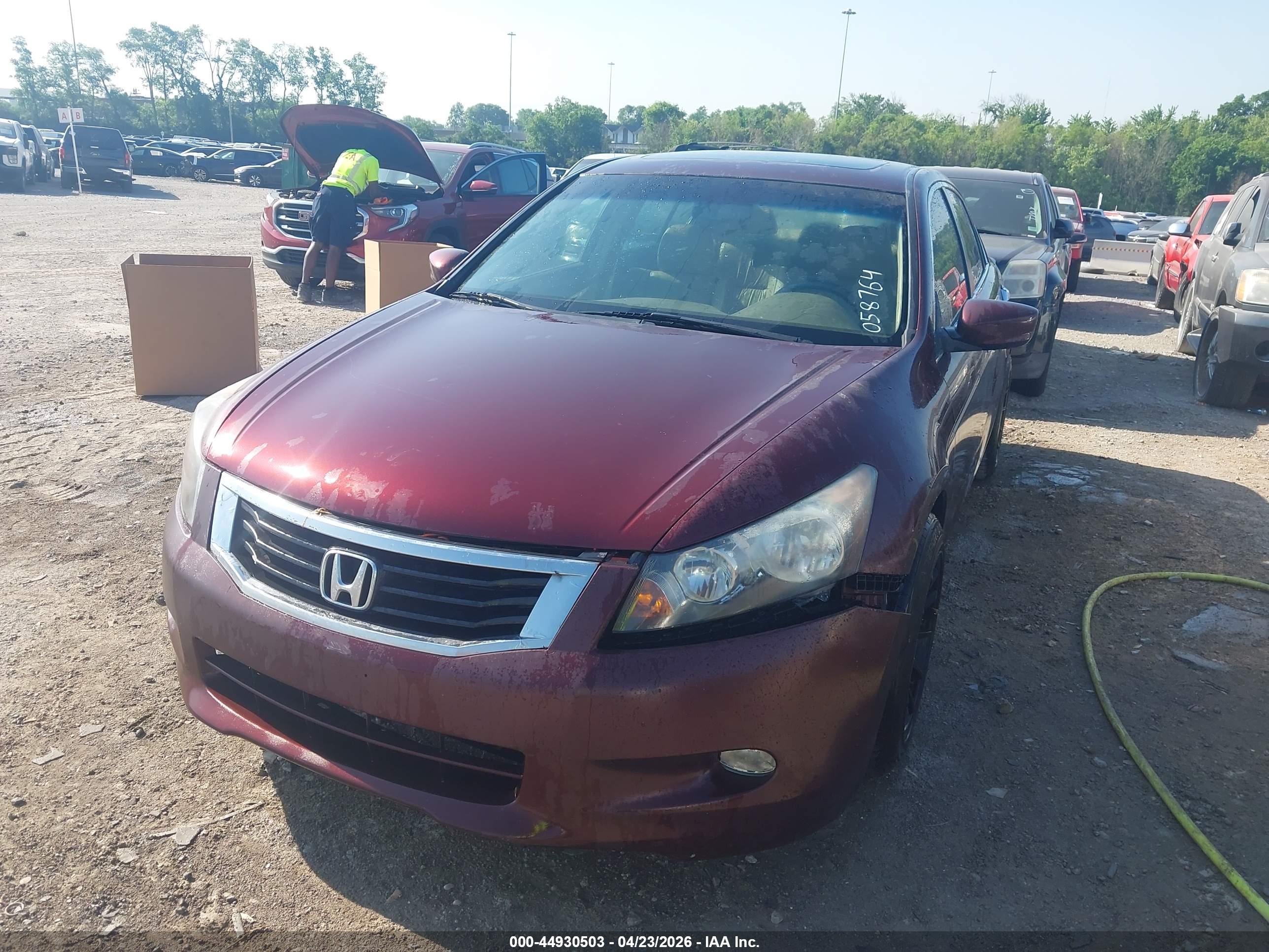 HONDA ACCORD image 6