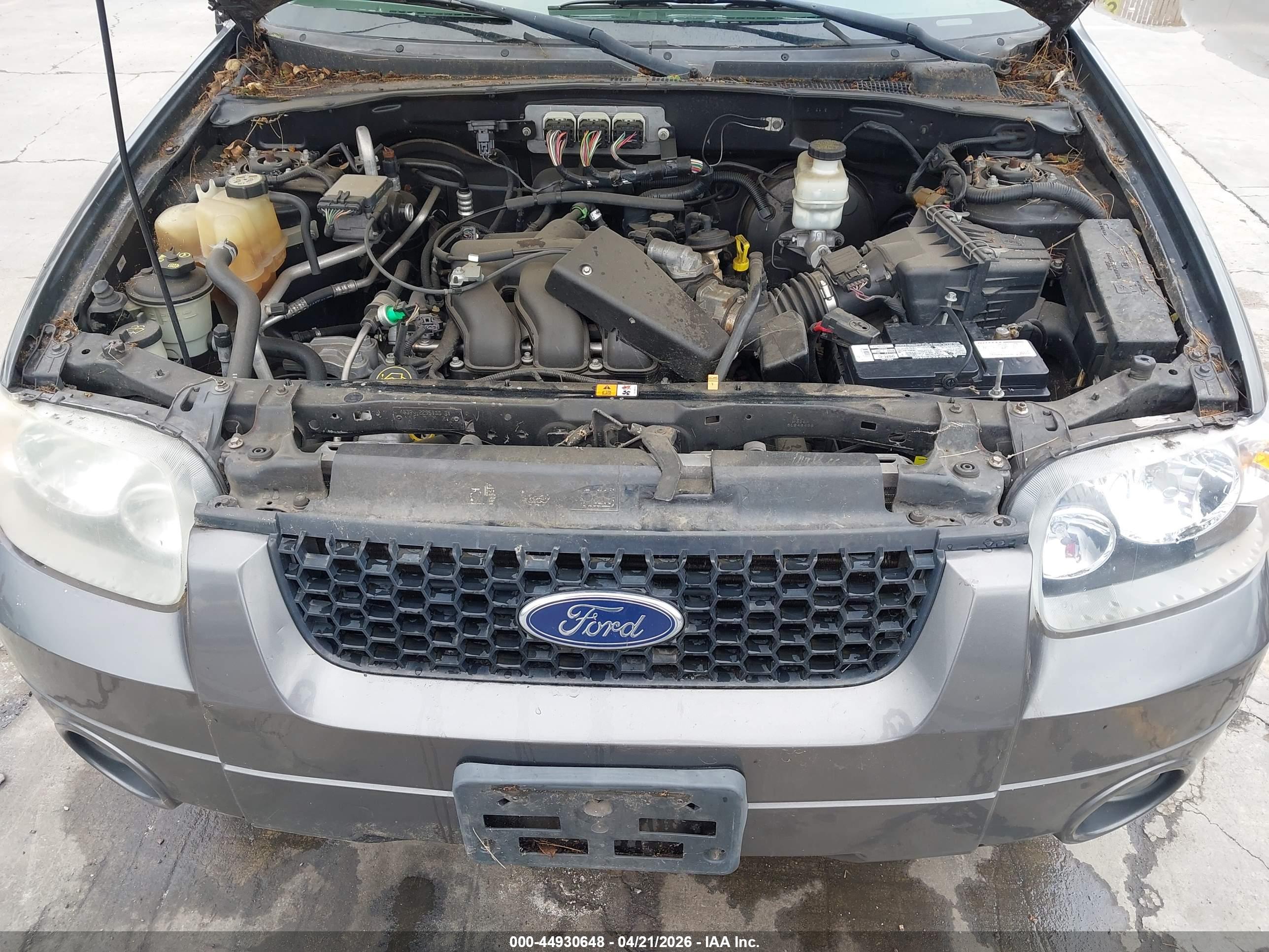 FORD ESCAPE image 10