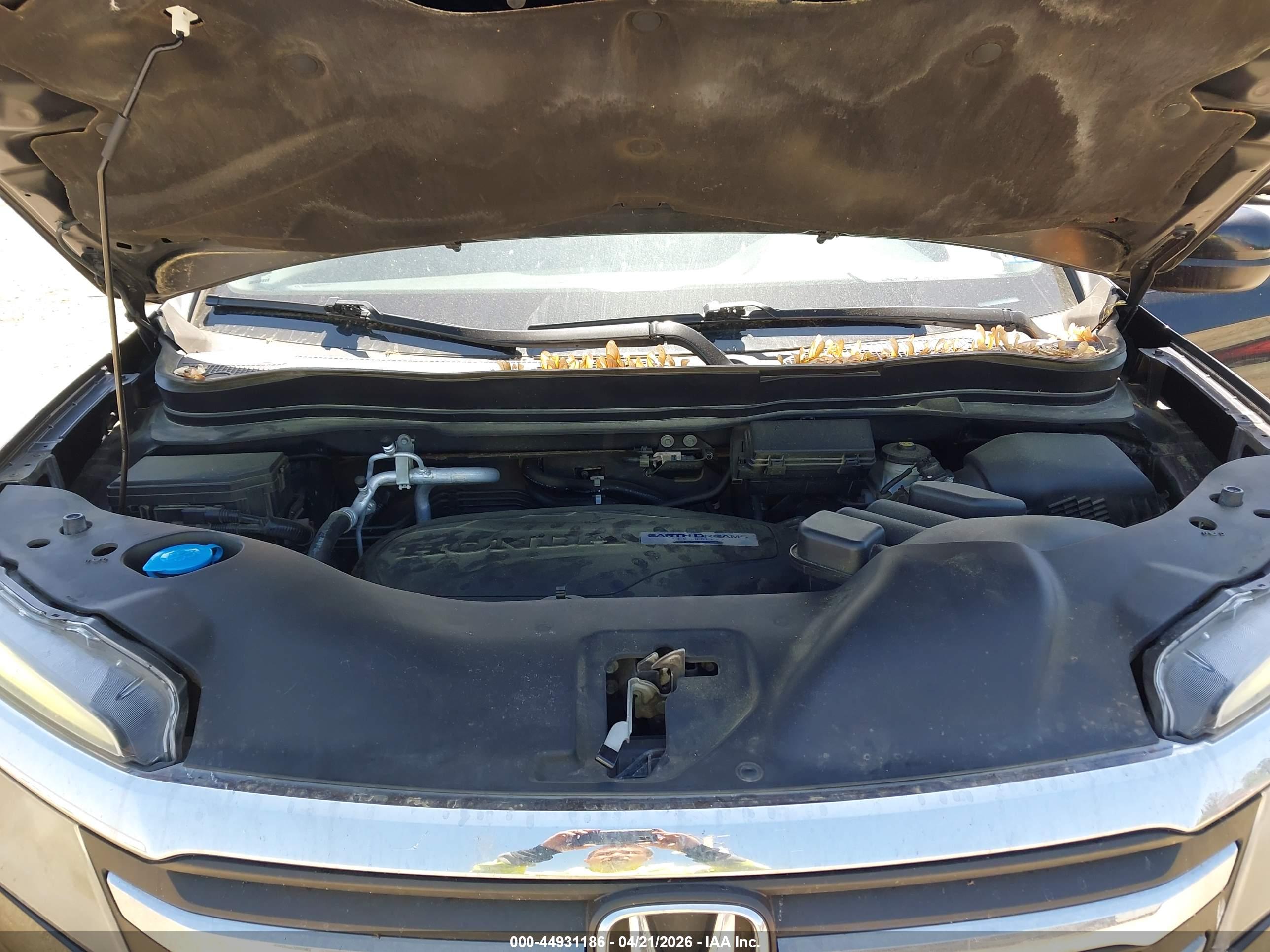 HONDA PILOT image 10