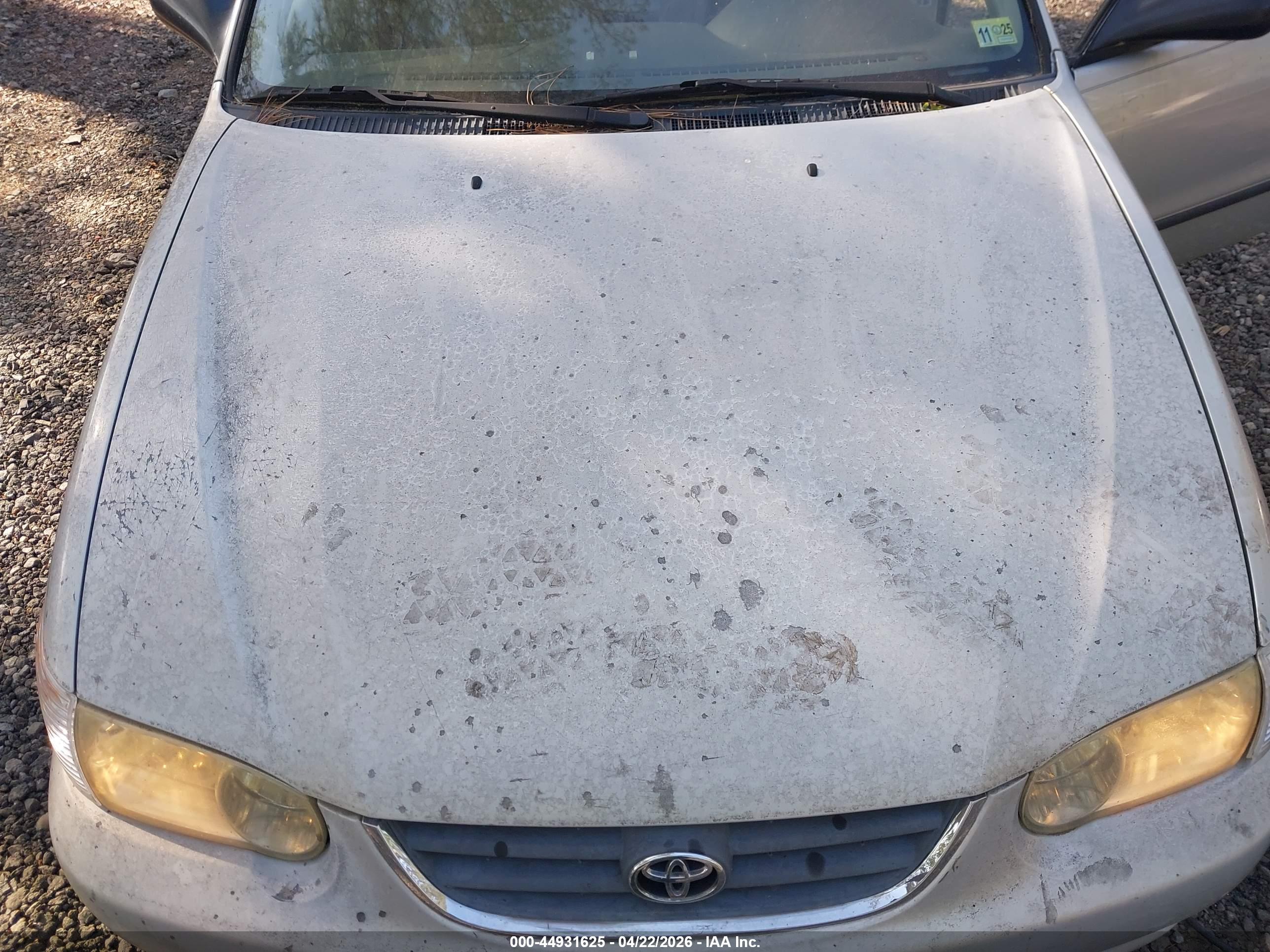TOYOTA COROLLA image 6