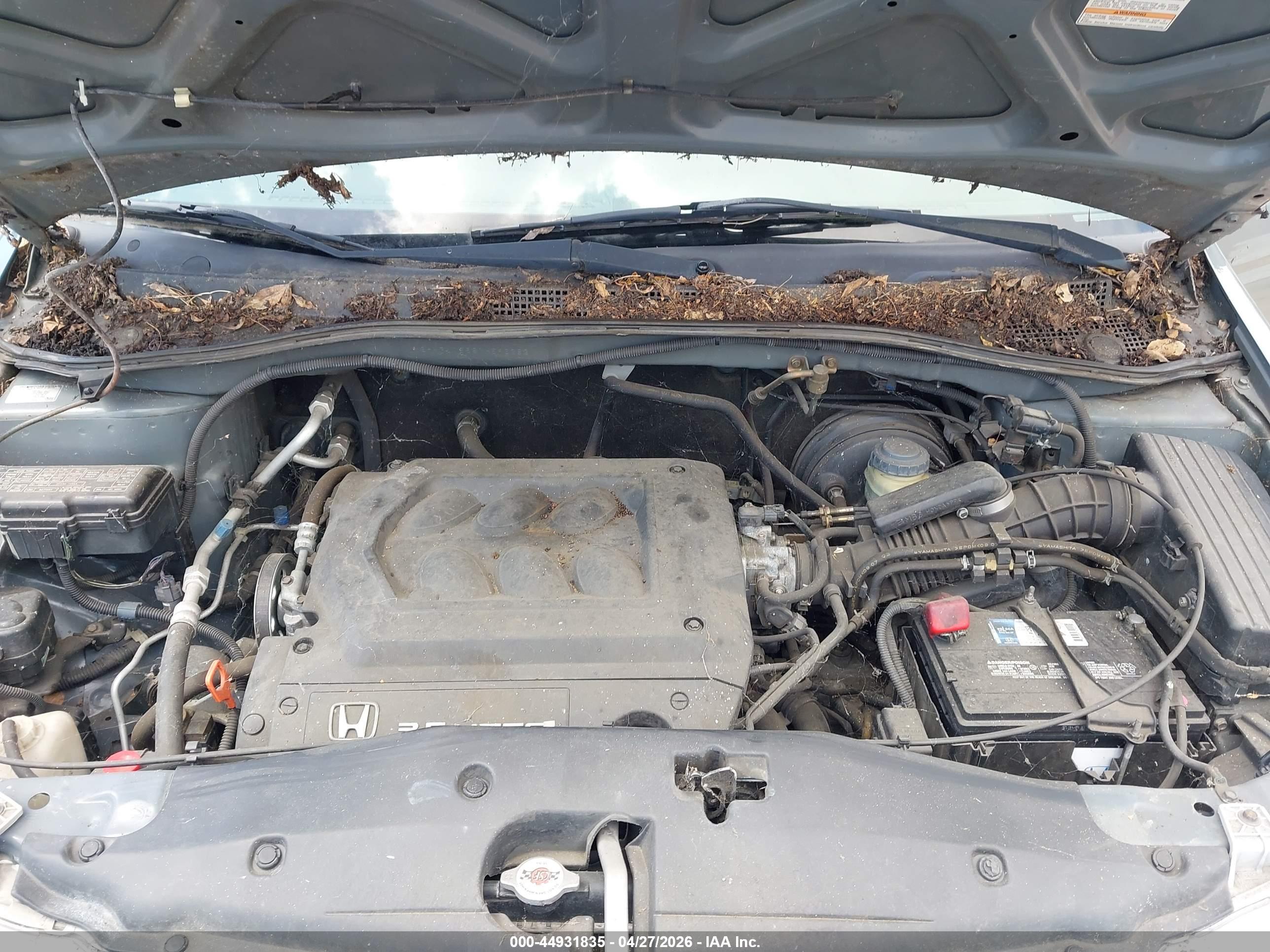 HONDA ODYSSEY image 10