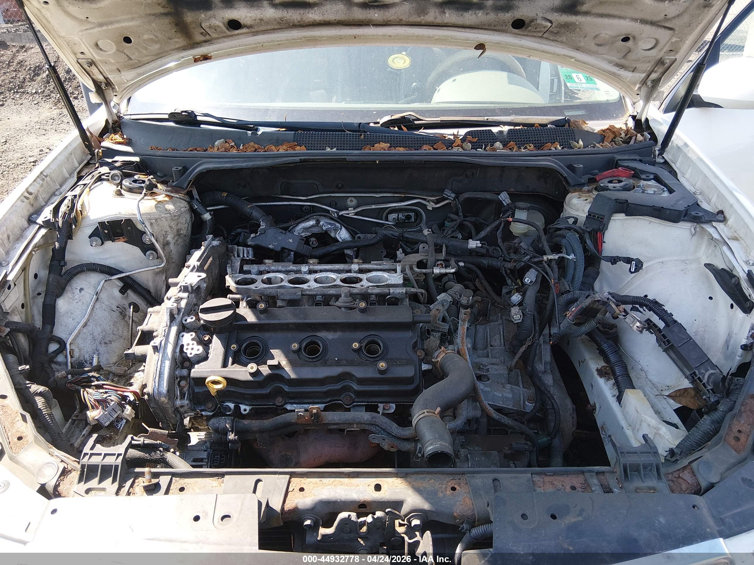NISSAN MAXIMA image 10