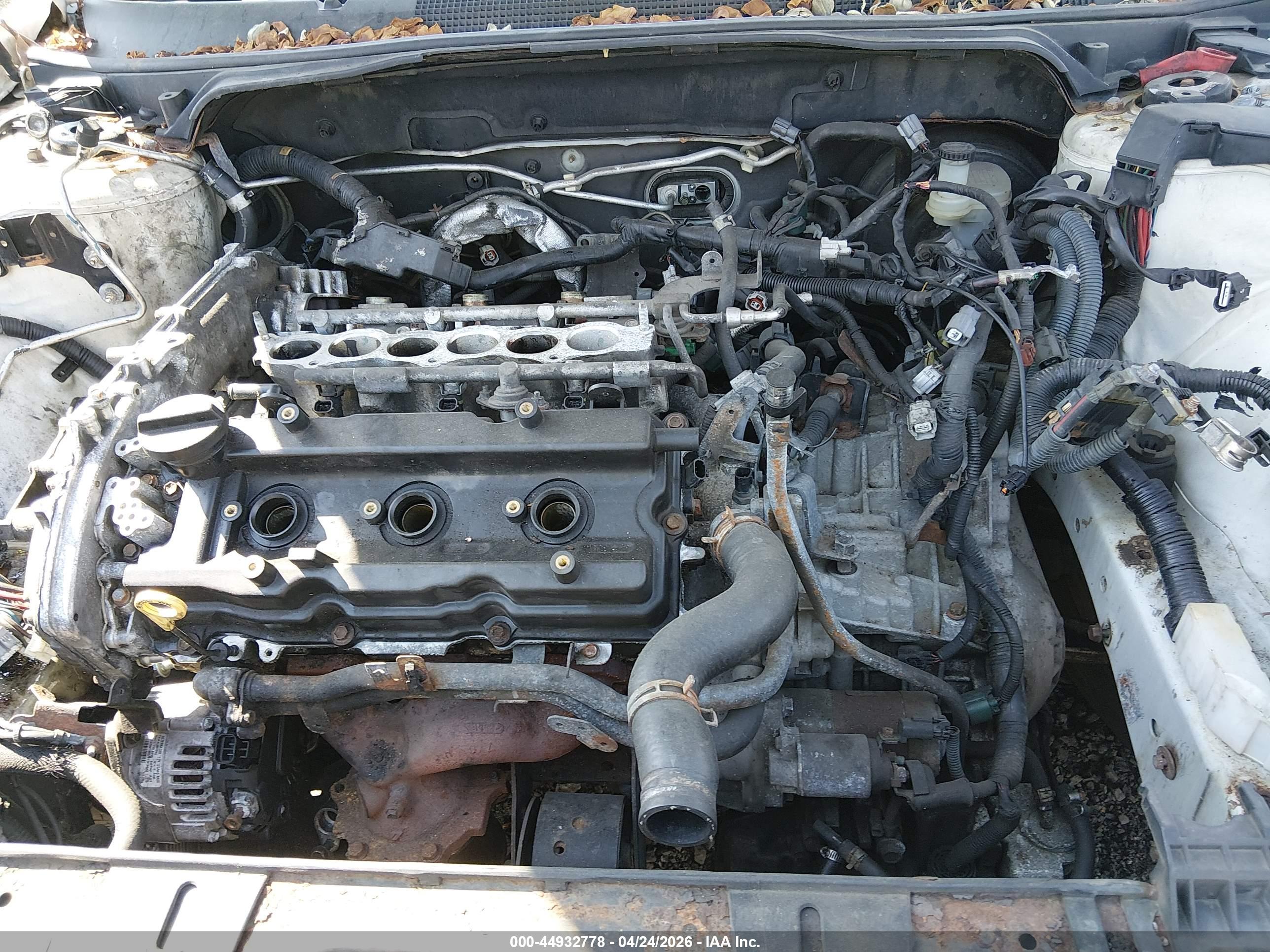 NISSAN MAXIMA image 6