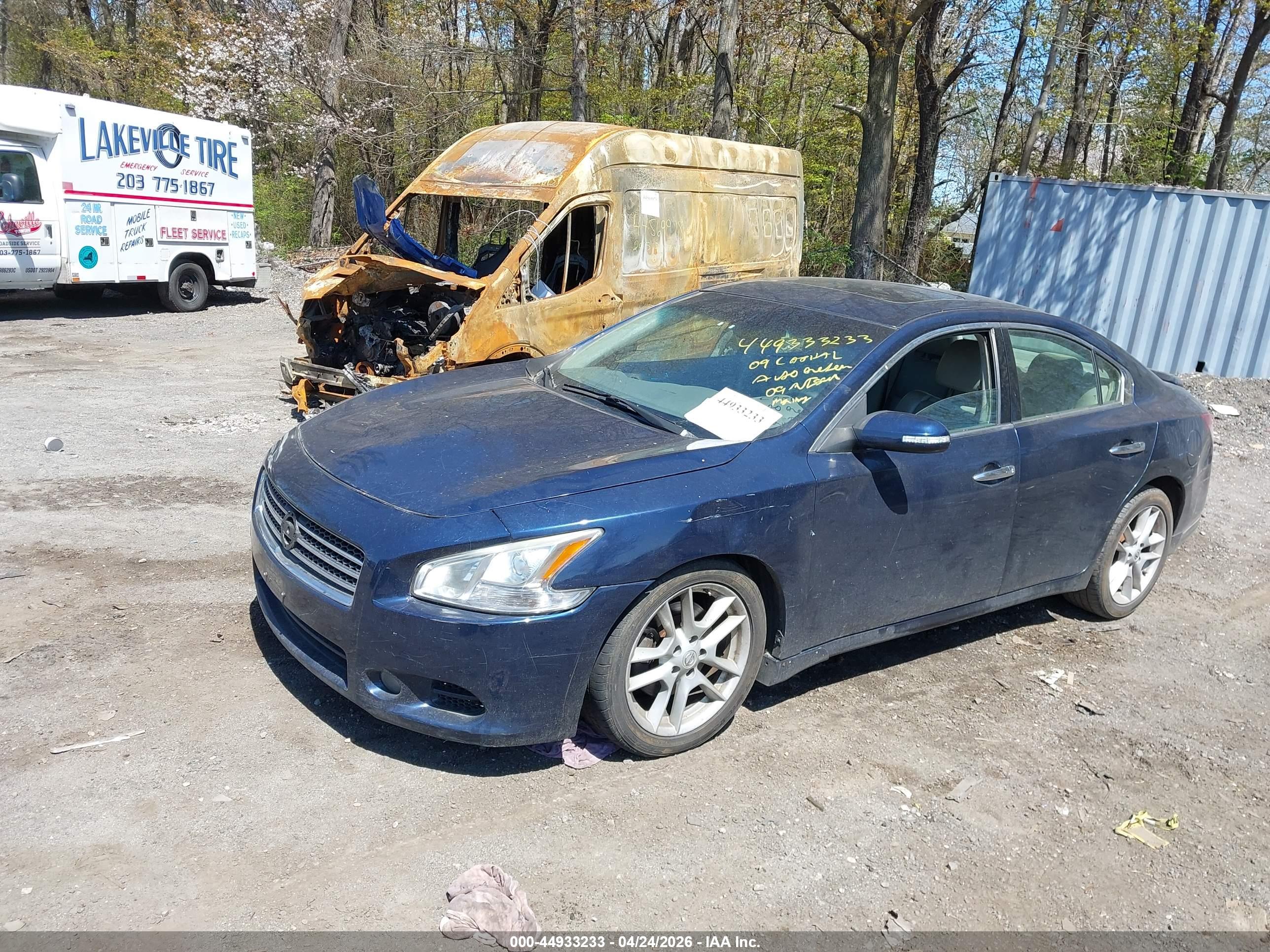NISSAN MAXIMA image 2