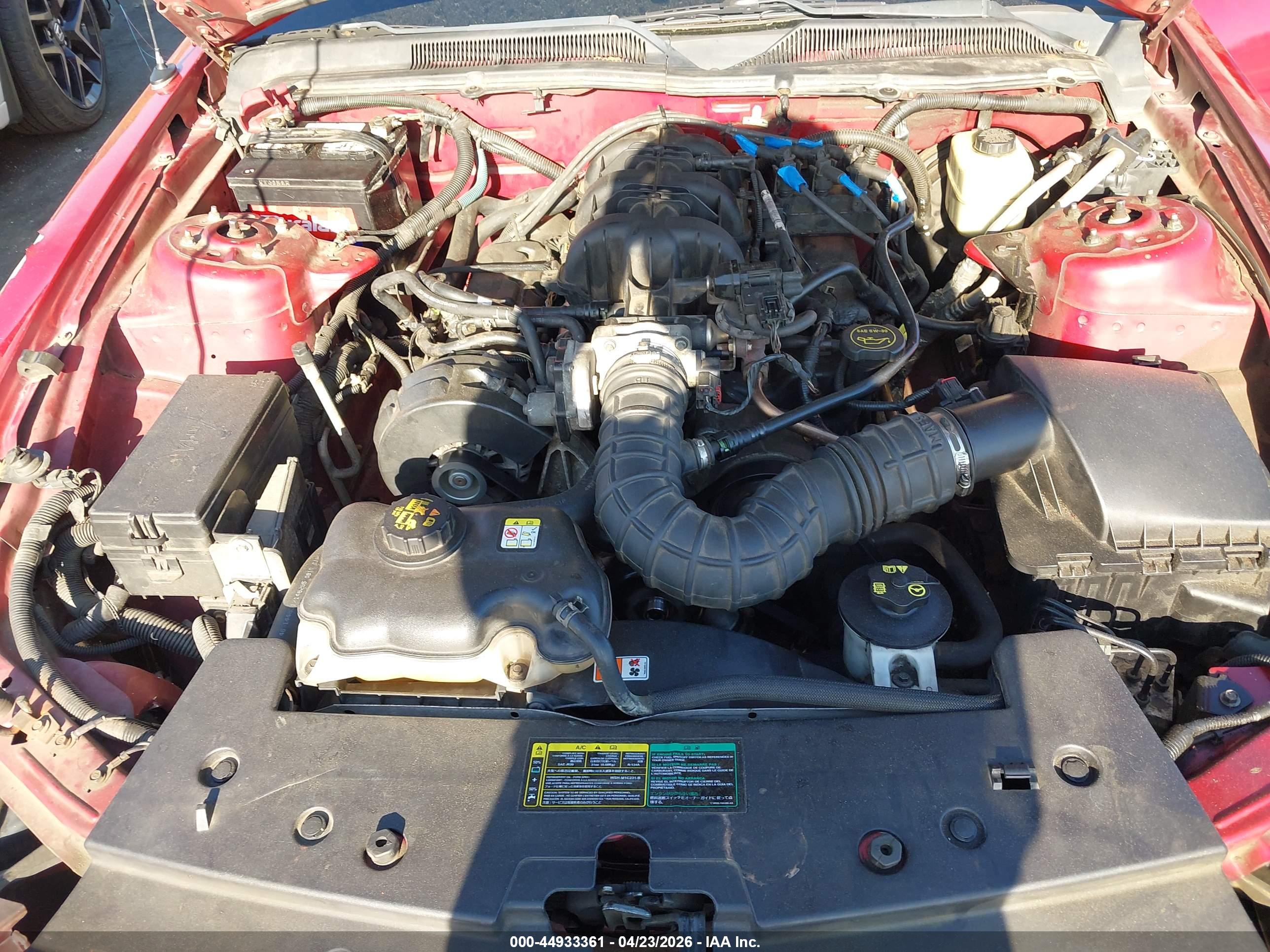FORD MUSTANG image 10