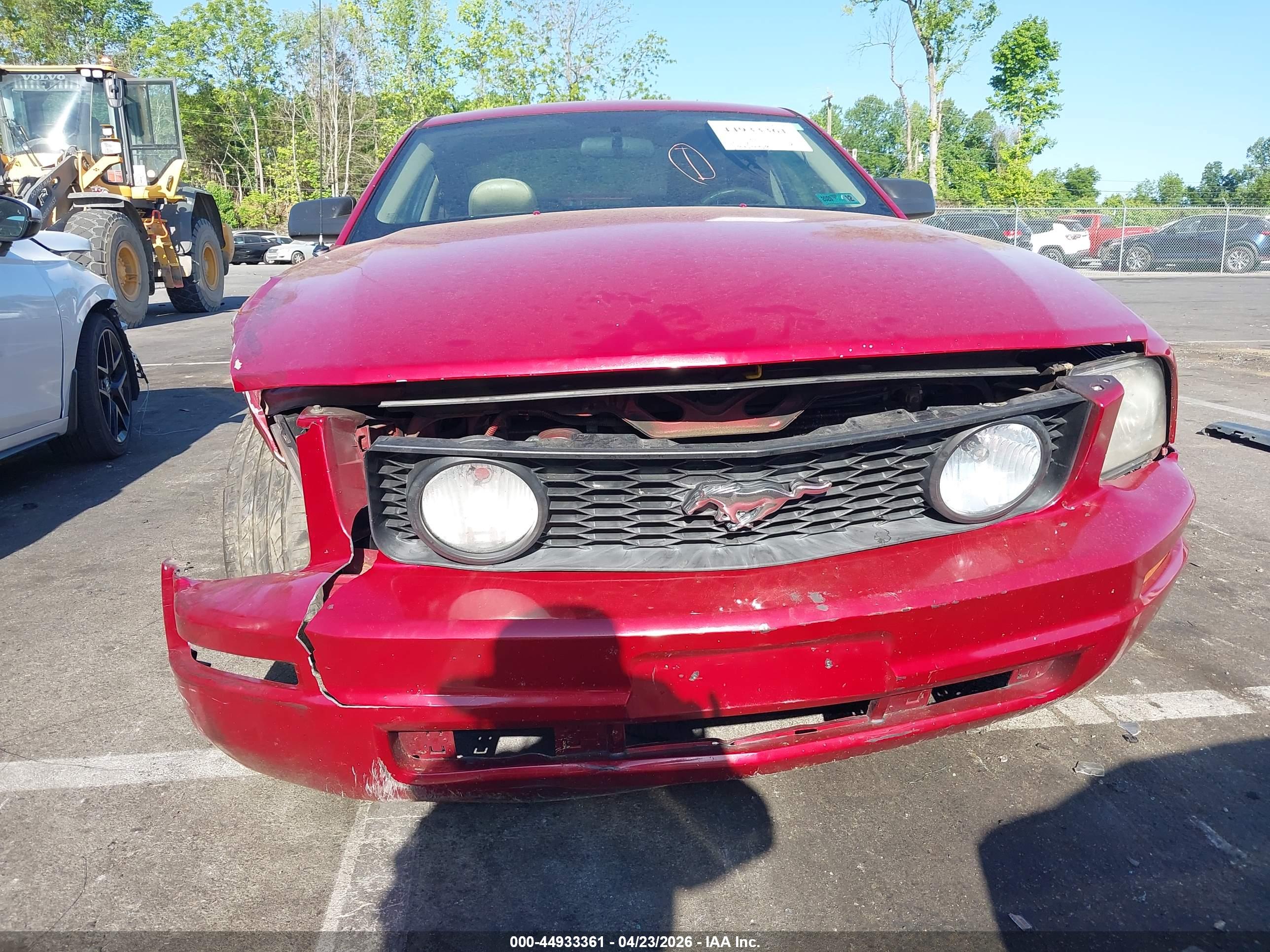 FORD MUSTANG image 6
