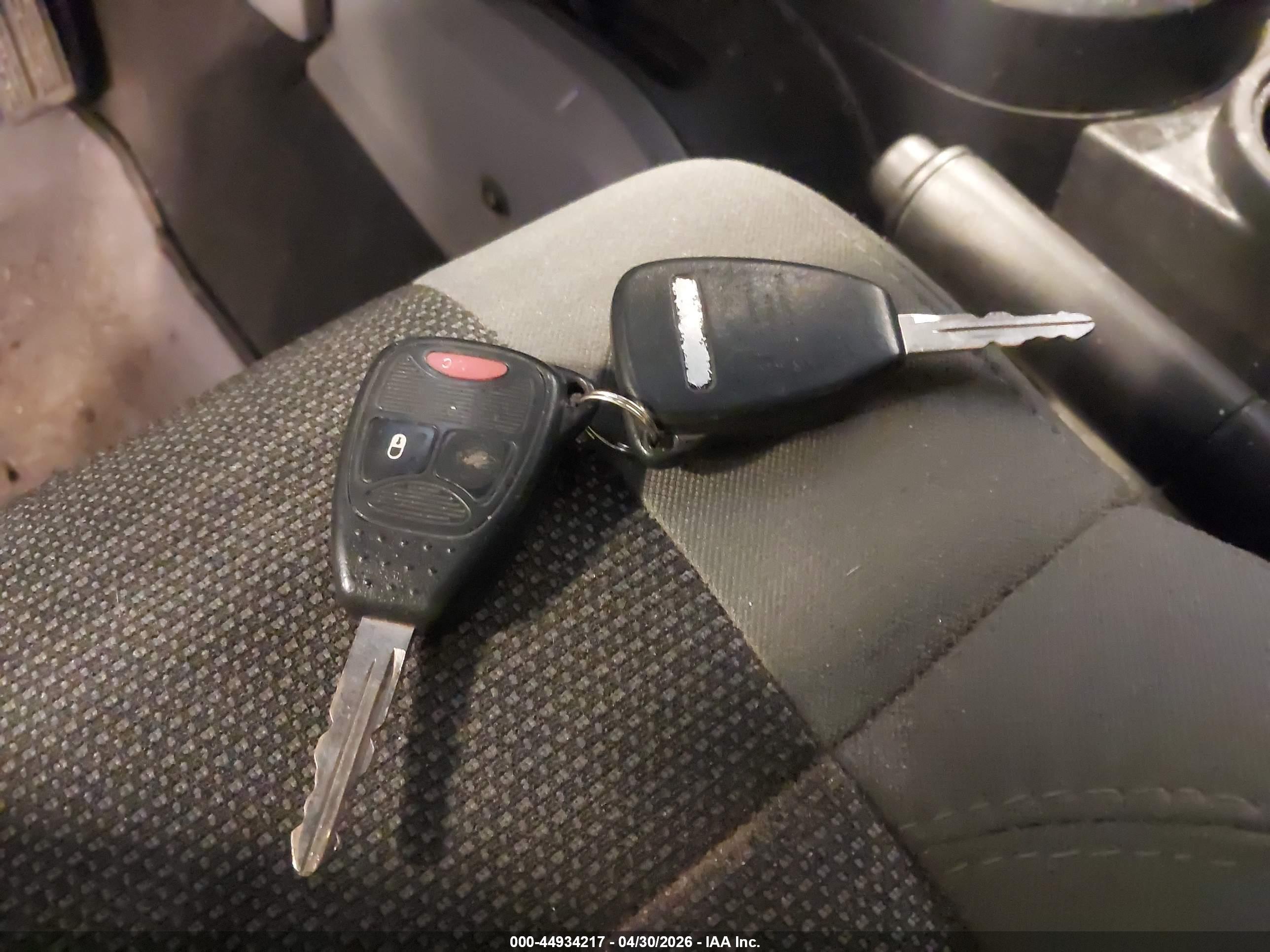JEEP WRANGLER image 11