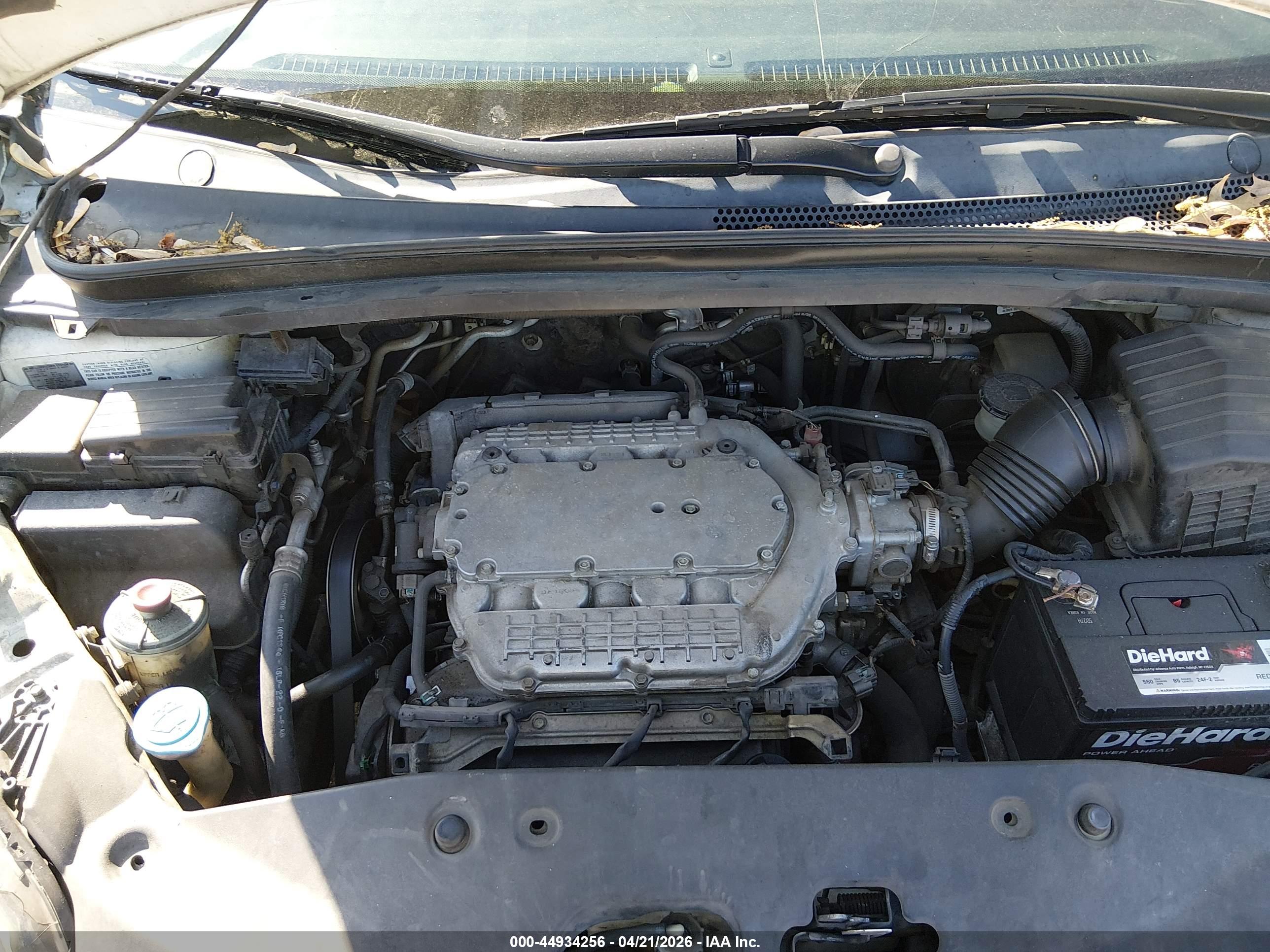 HONDA ODYSSEY image 10