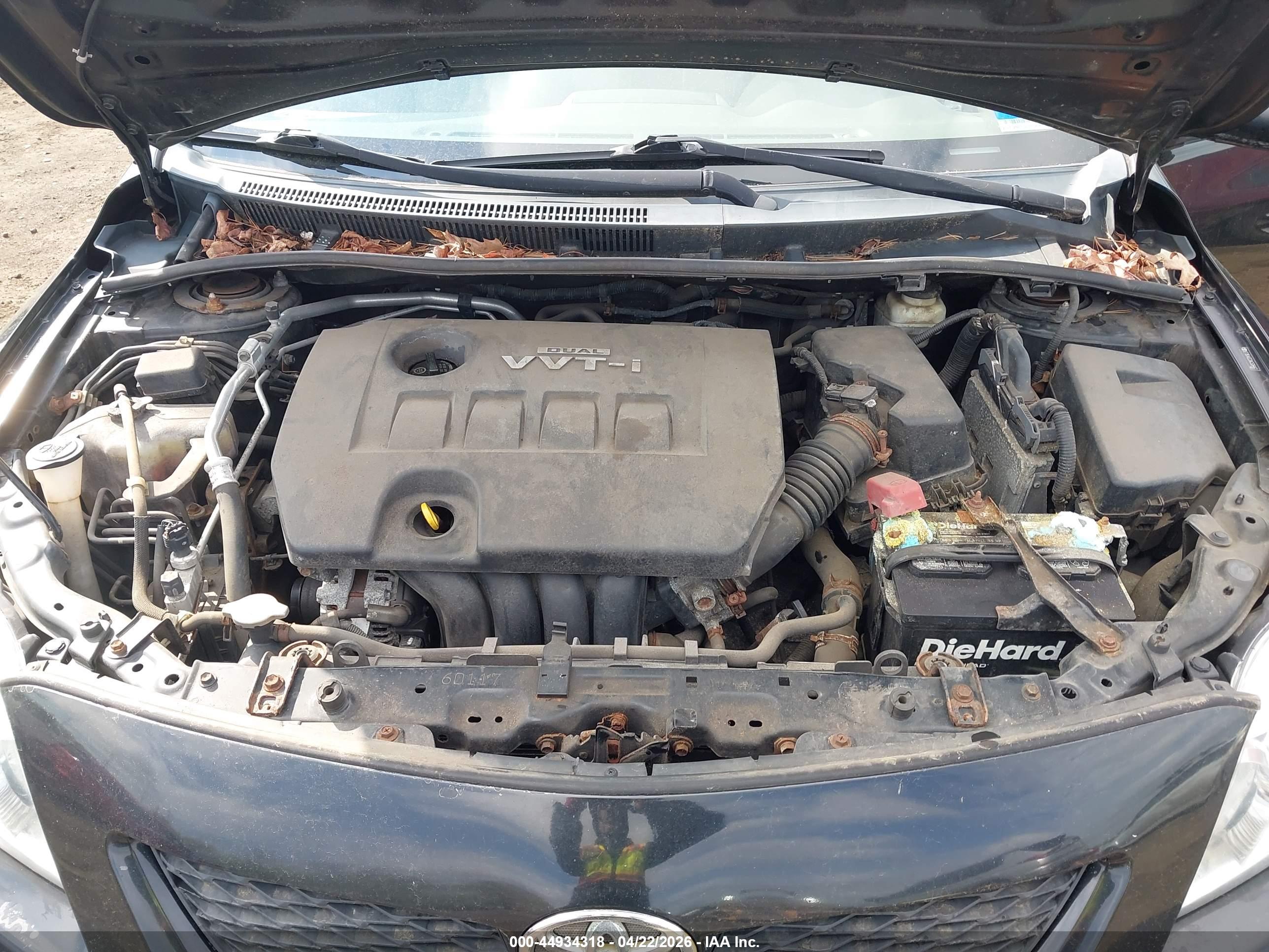 TOYOTA COROLLA image 10