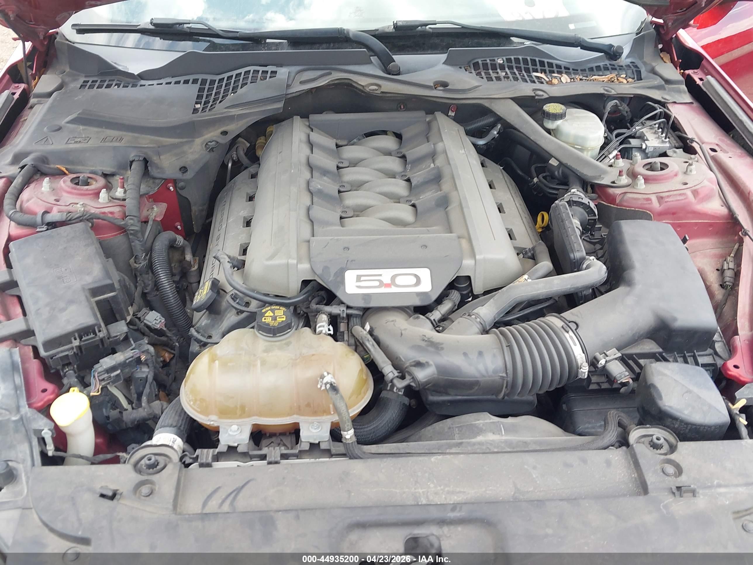 FORD MUSTANG image 10