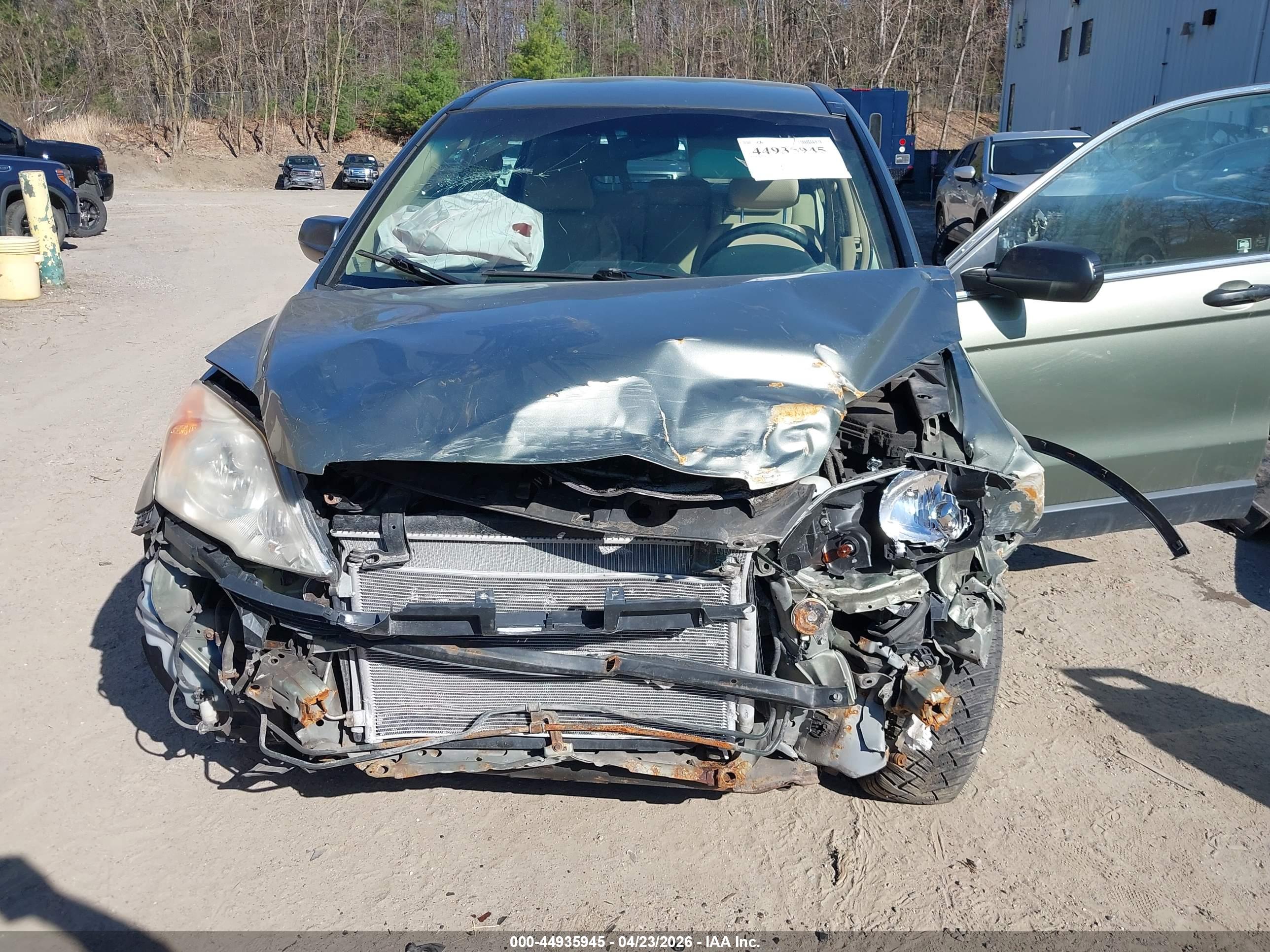 HONDA CR-V image 6