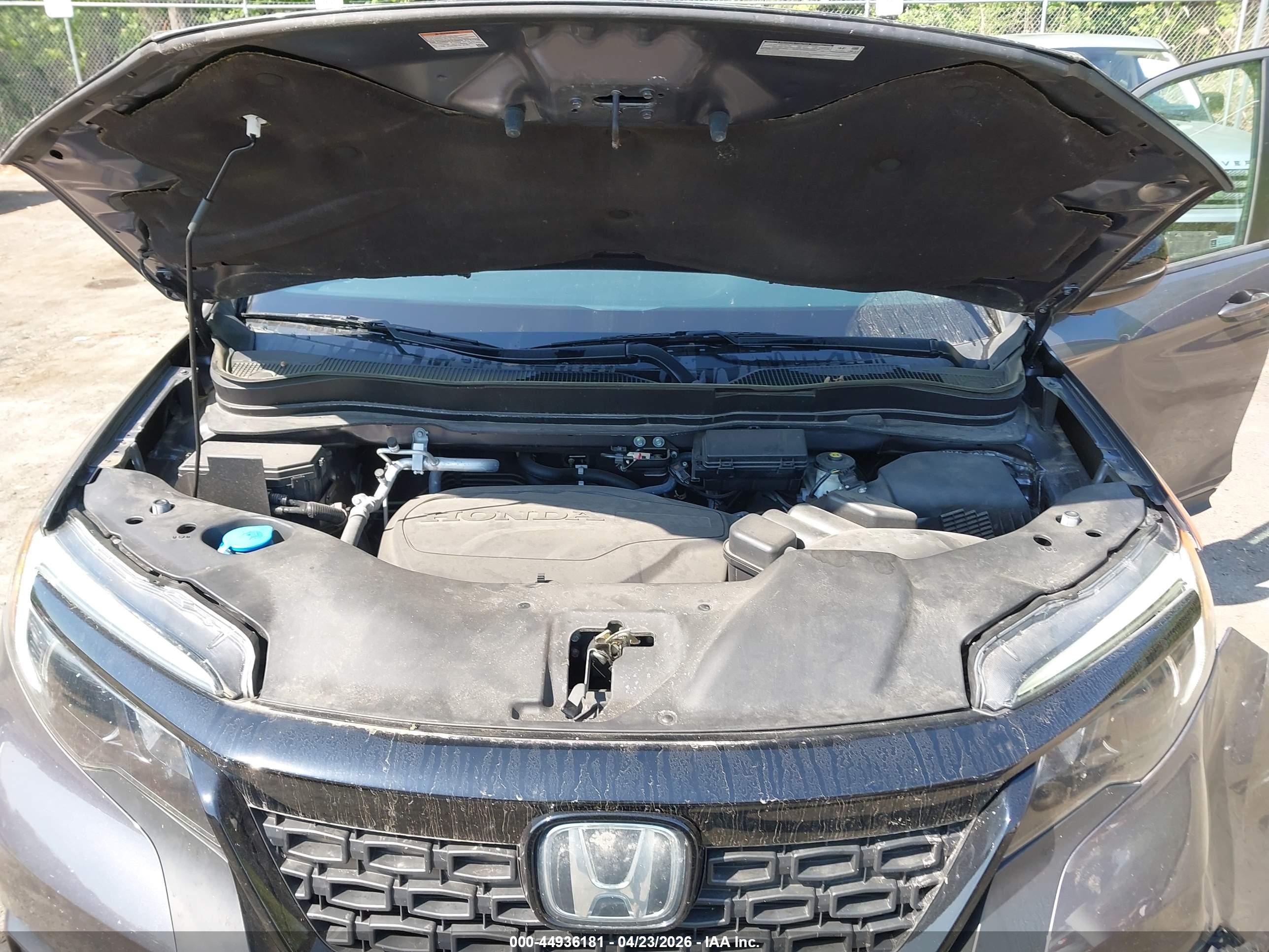 HONDA PASSPORT image 10