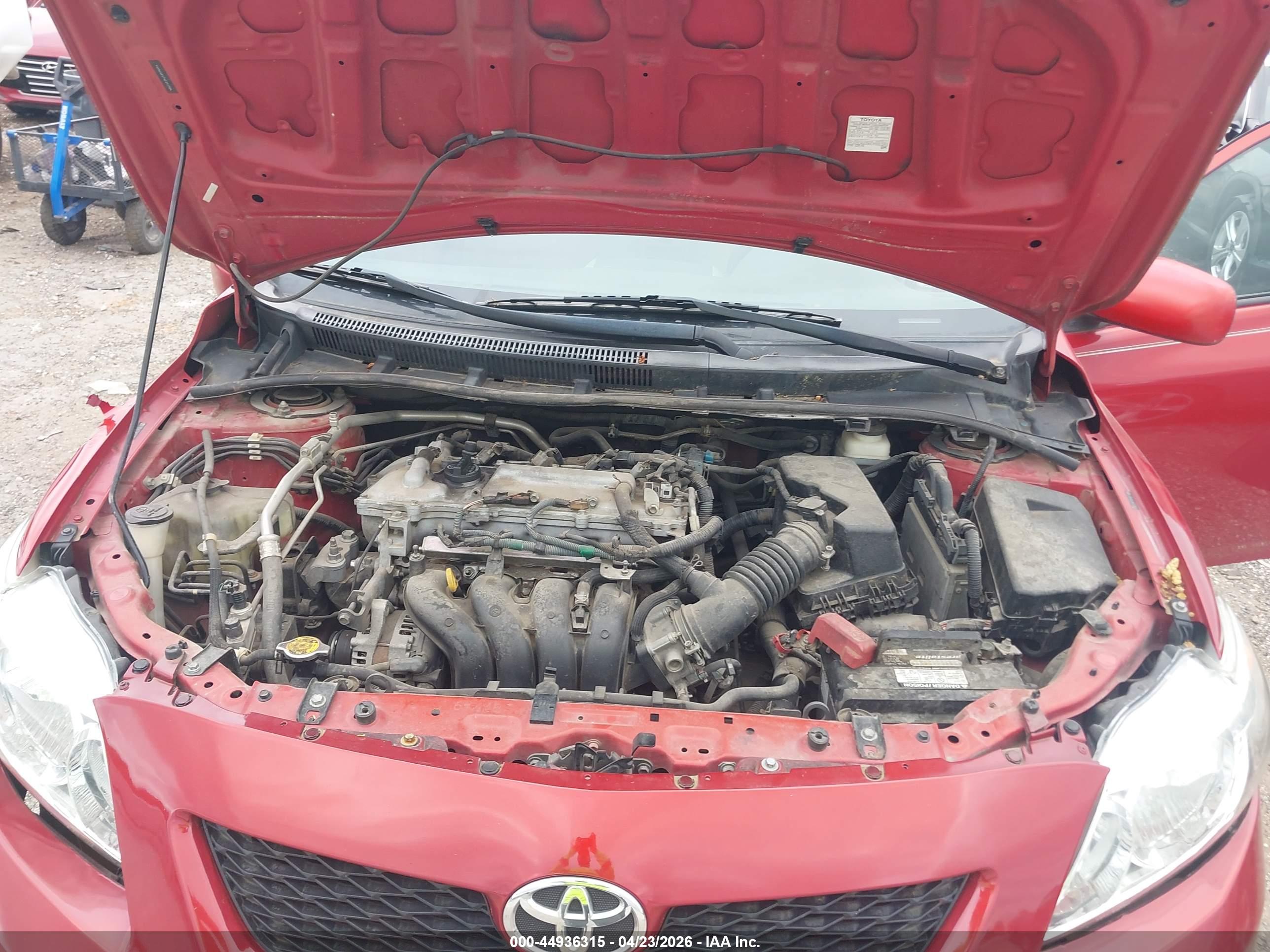 TOYOTA COROLLA image 10