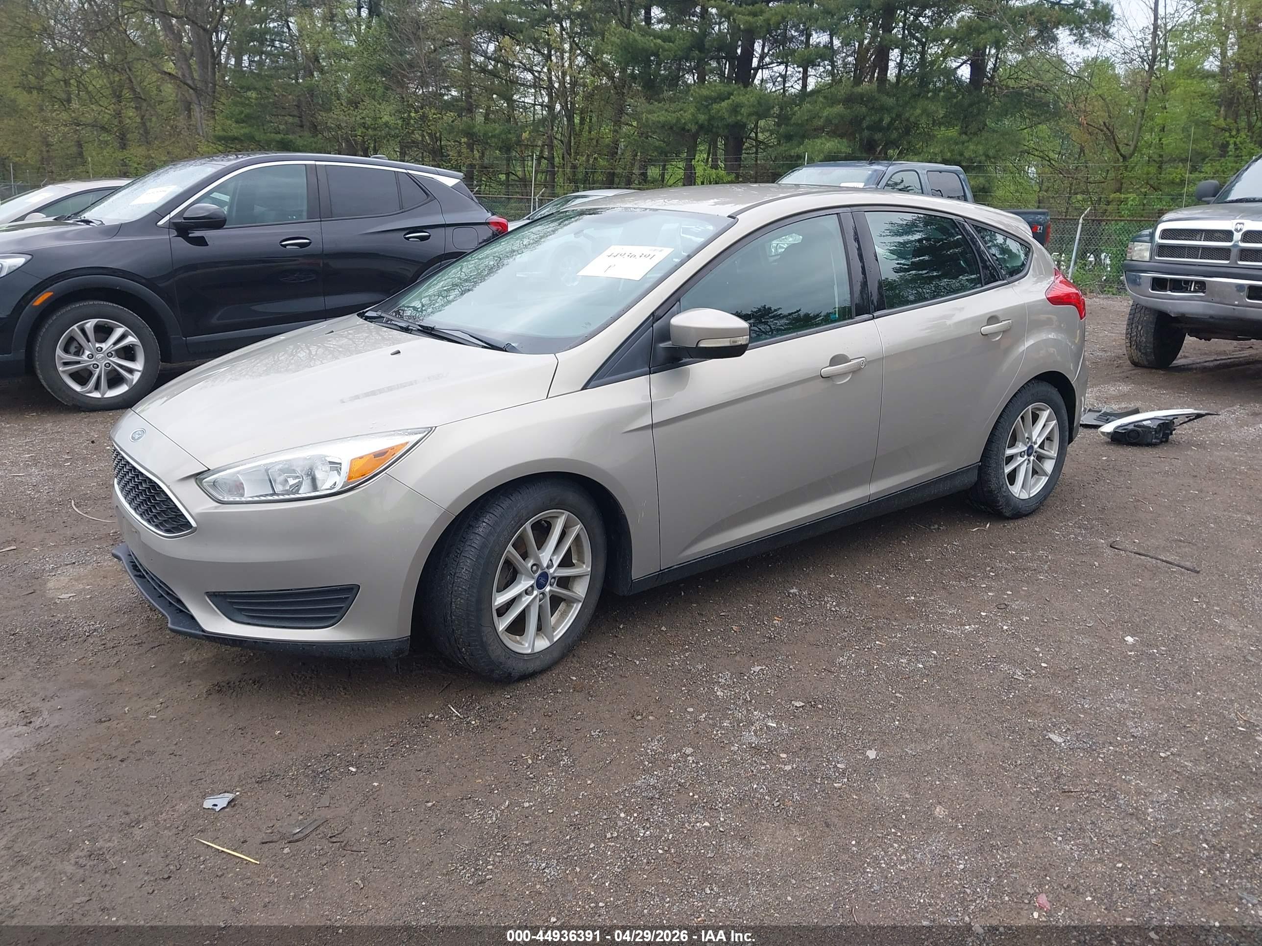 FORD FOCUS image 2