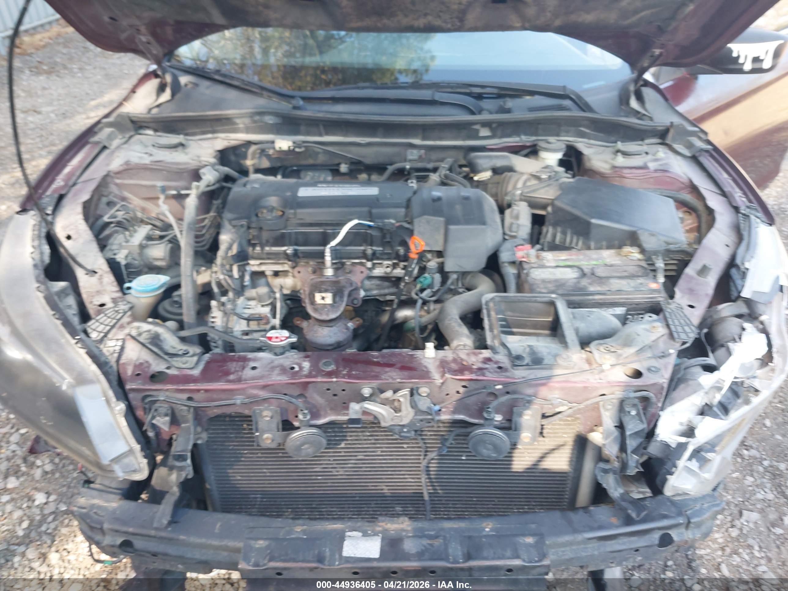 HONDA ACCORD image 10