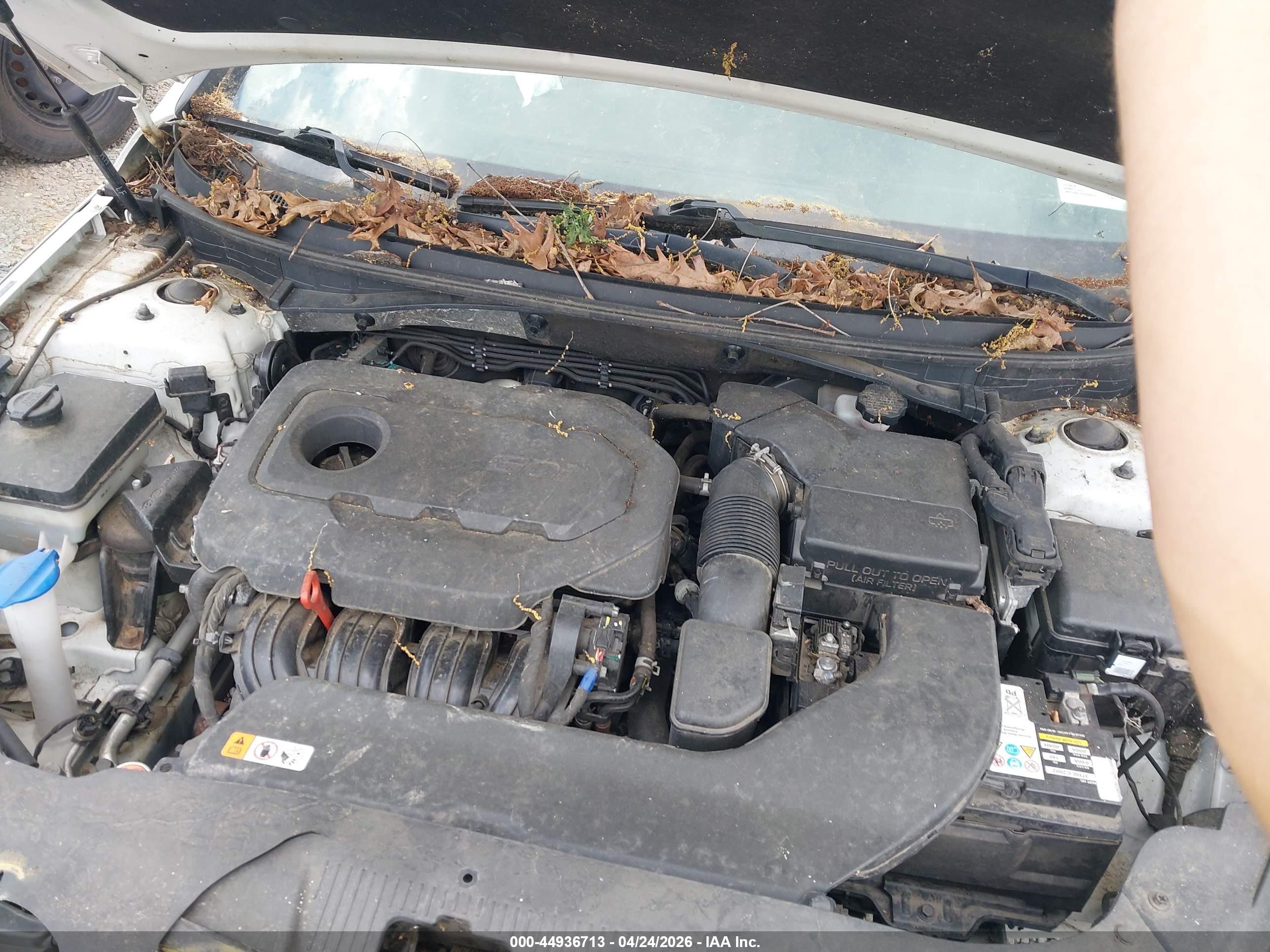 HYUNDAI SONATA image 10