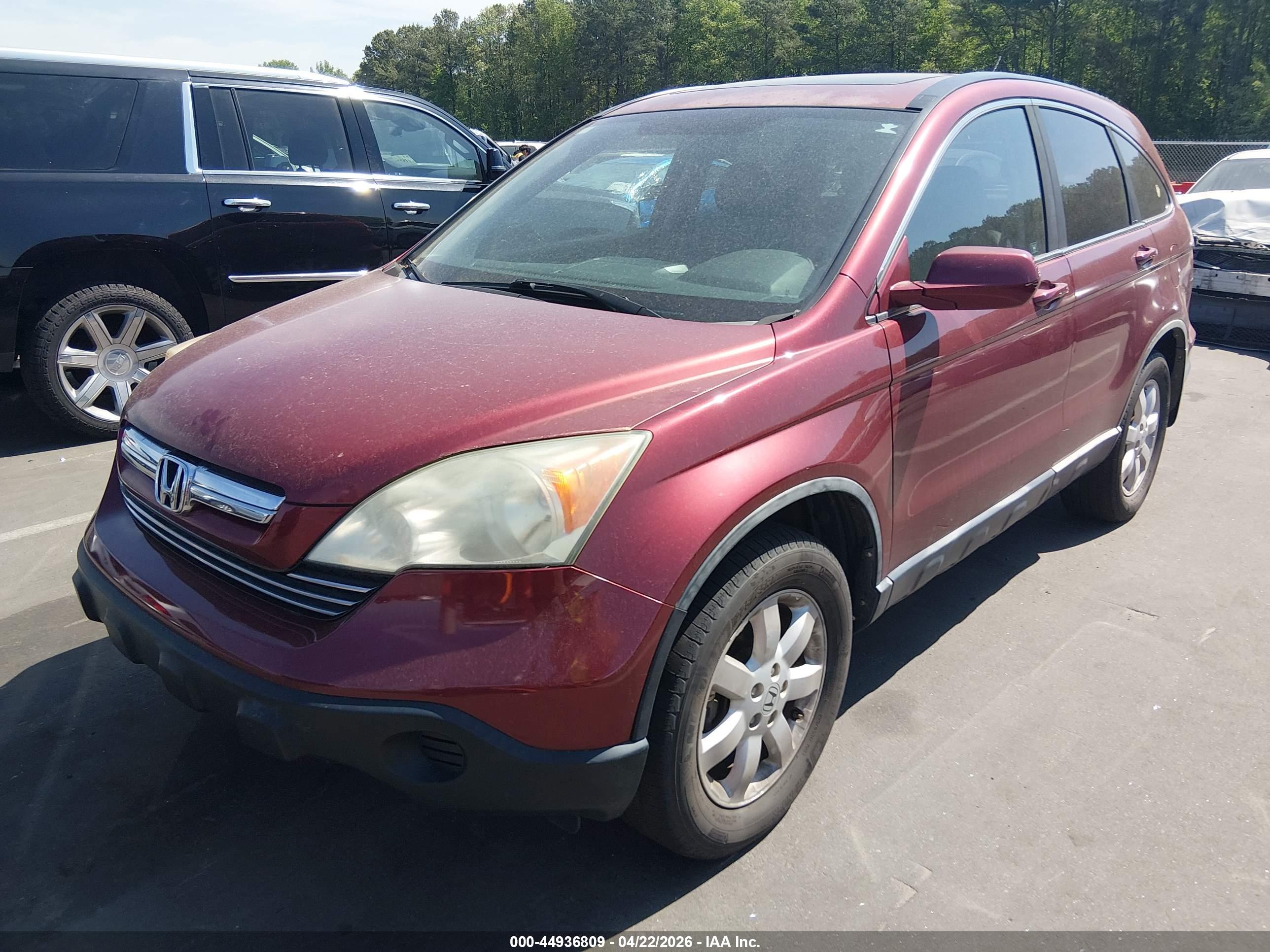 HONDA CR-V image 6