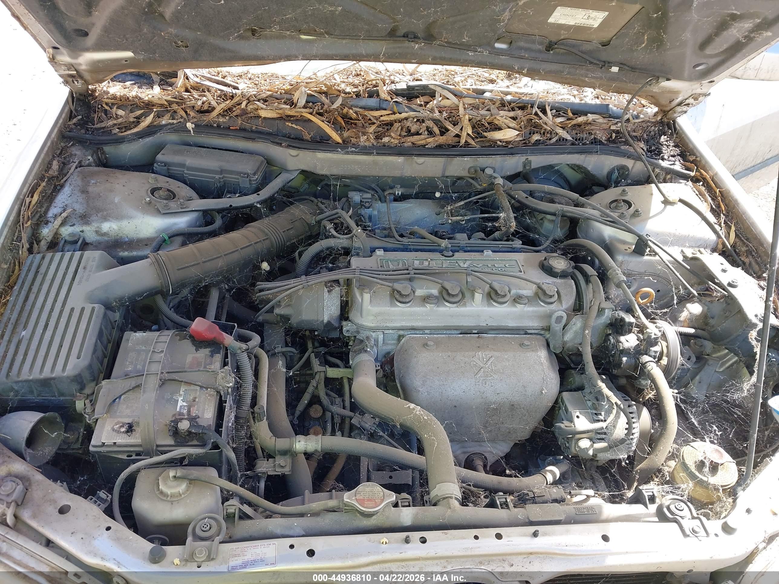 HONDA ACCORD image 10