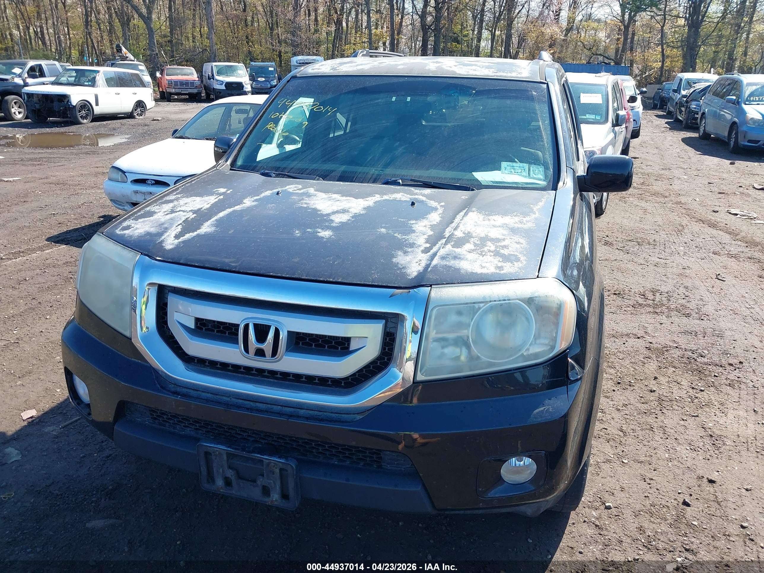 HONDA PILOT image 6