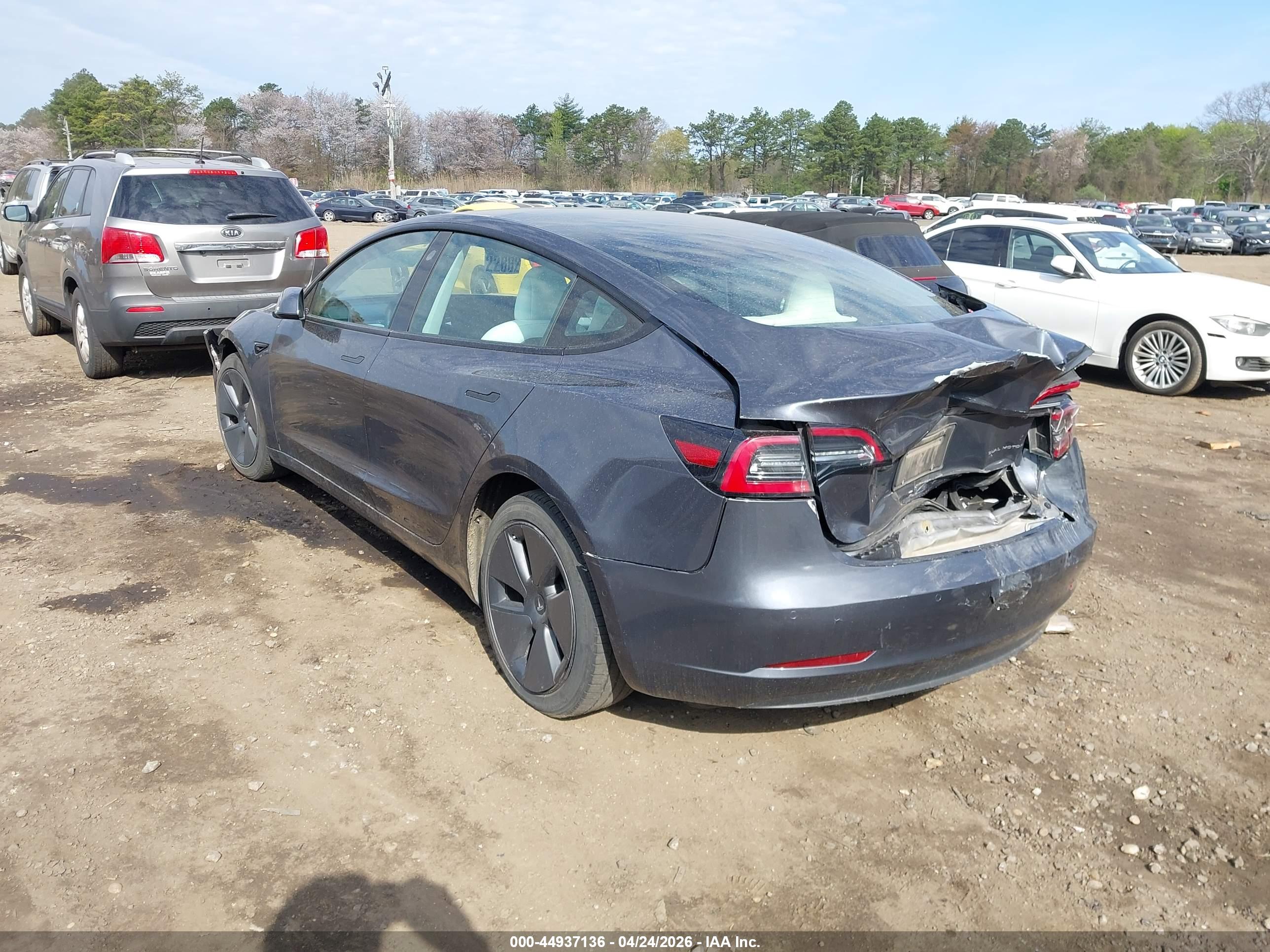TESLA MODEL image 3