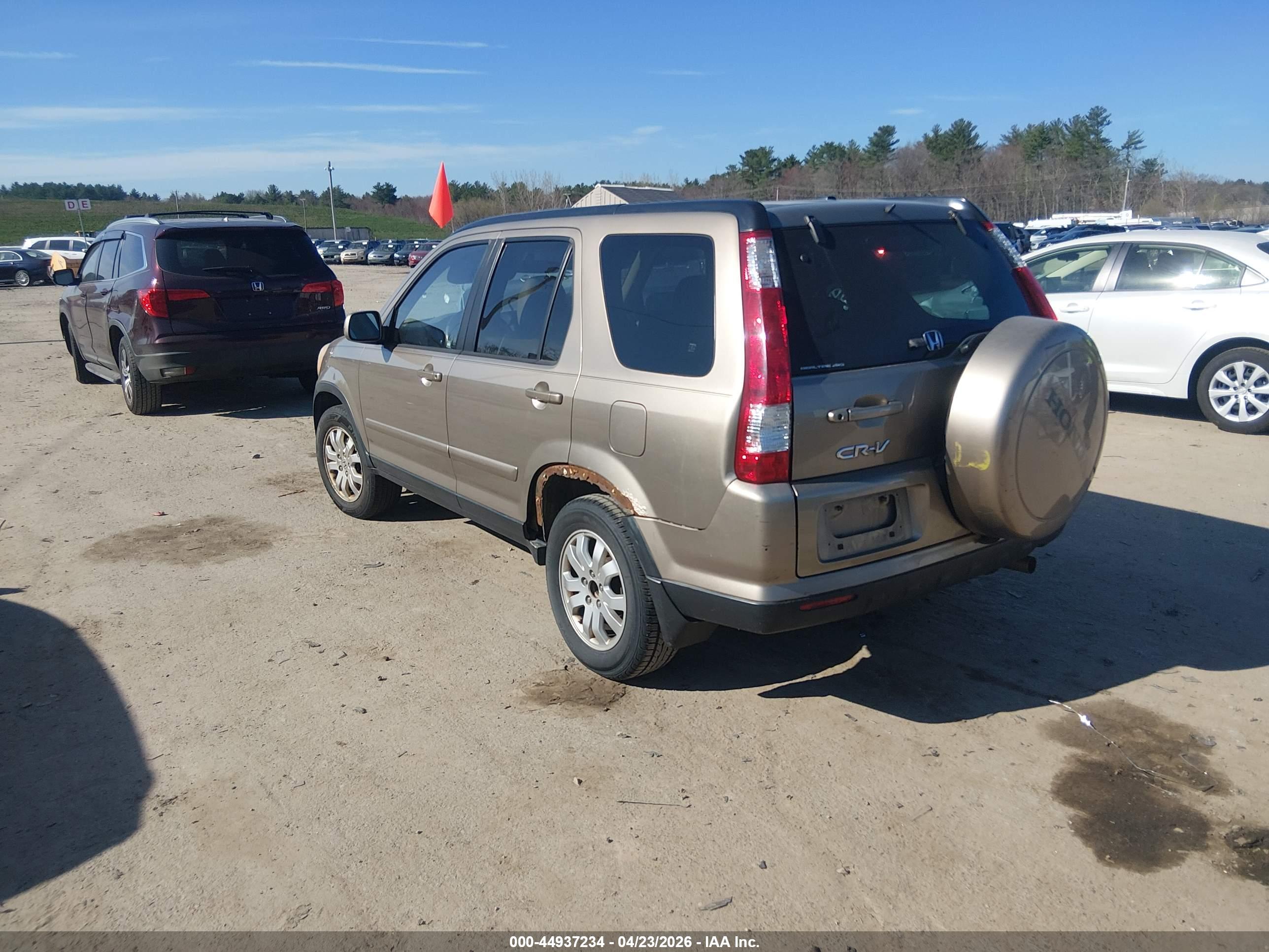 HONDA CR-V image 3