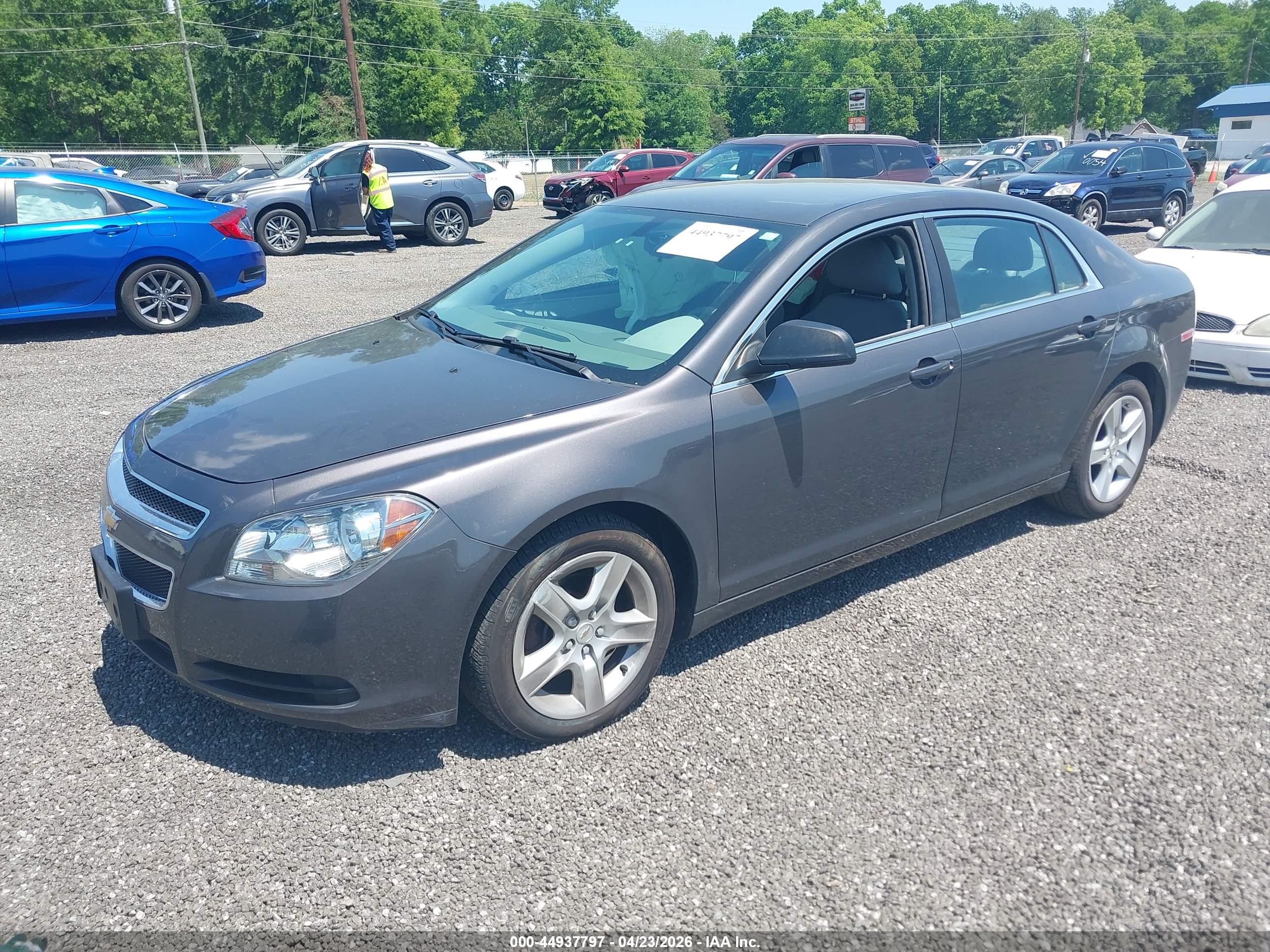 CHEVROLET MALIBU image 2