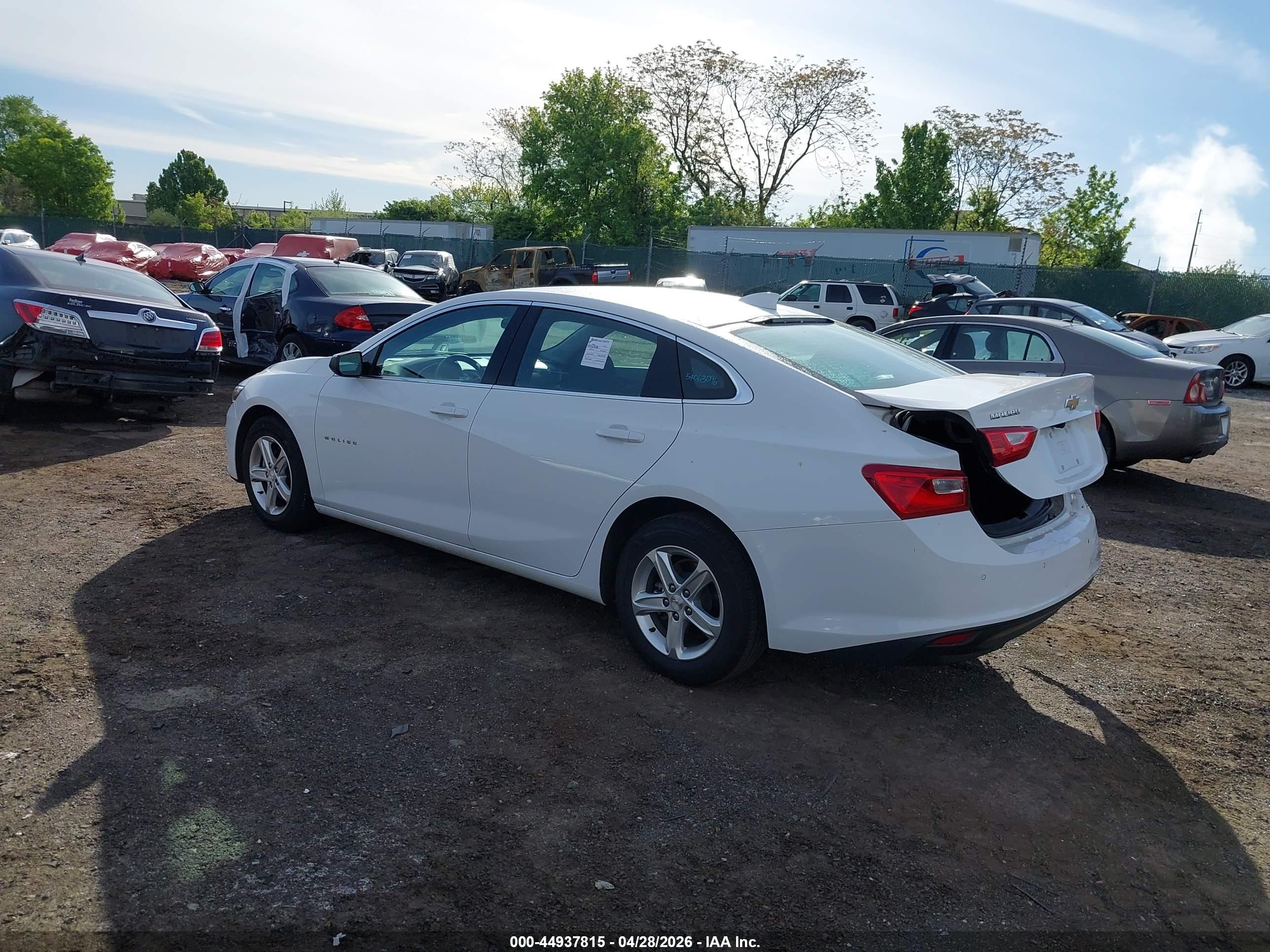 CHEVROLET MALIBU image 3