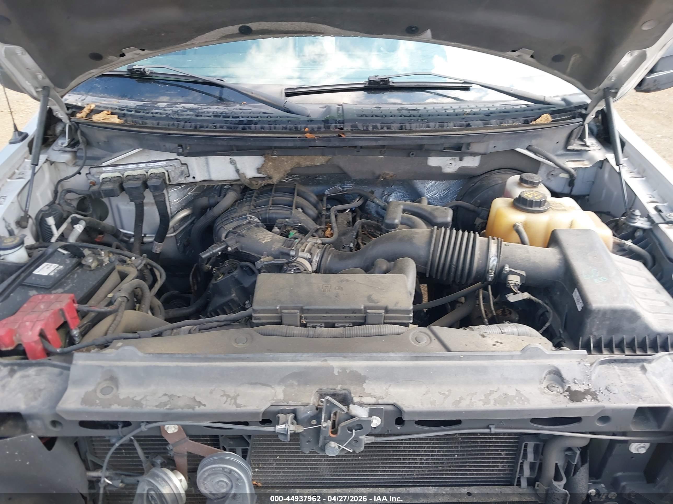 FORD F-150 image 10