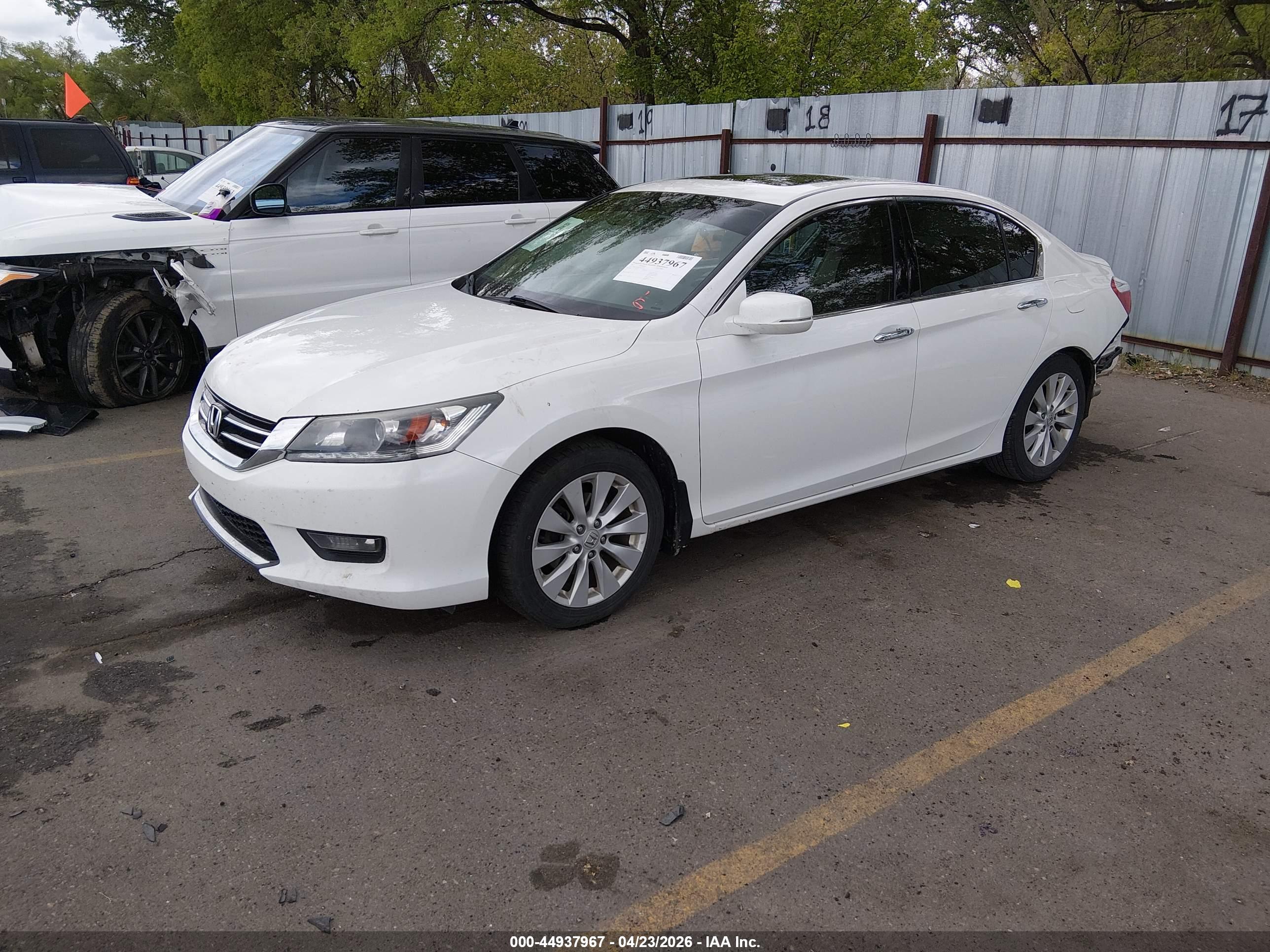 HONDA ACCORD image 2