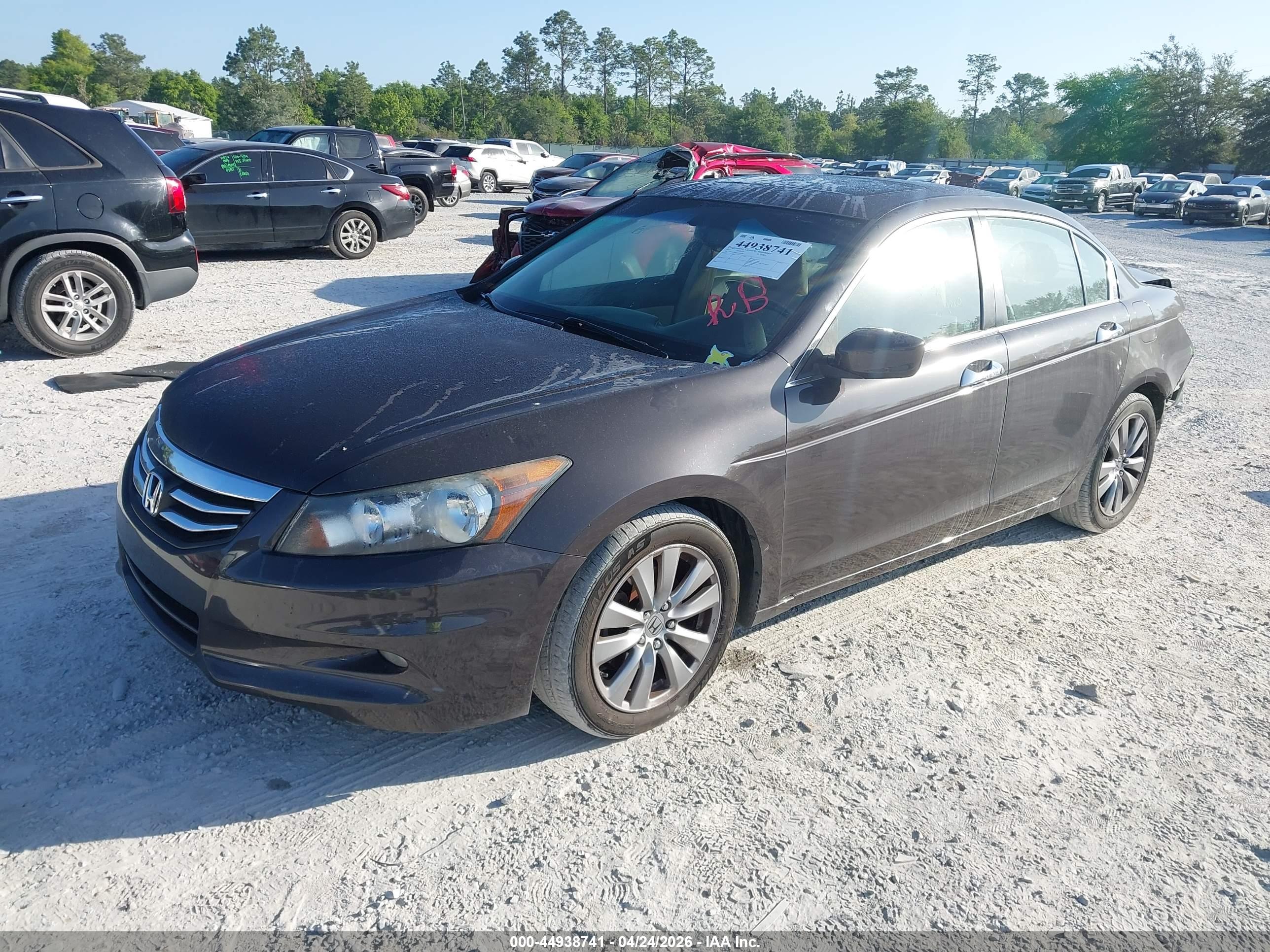 HONDA ACCORD image 2