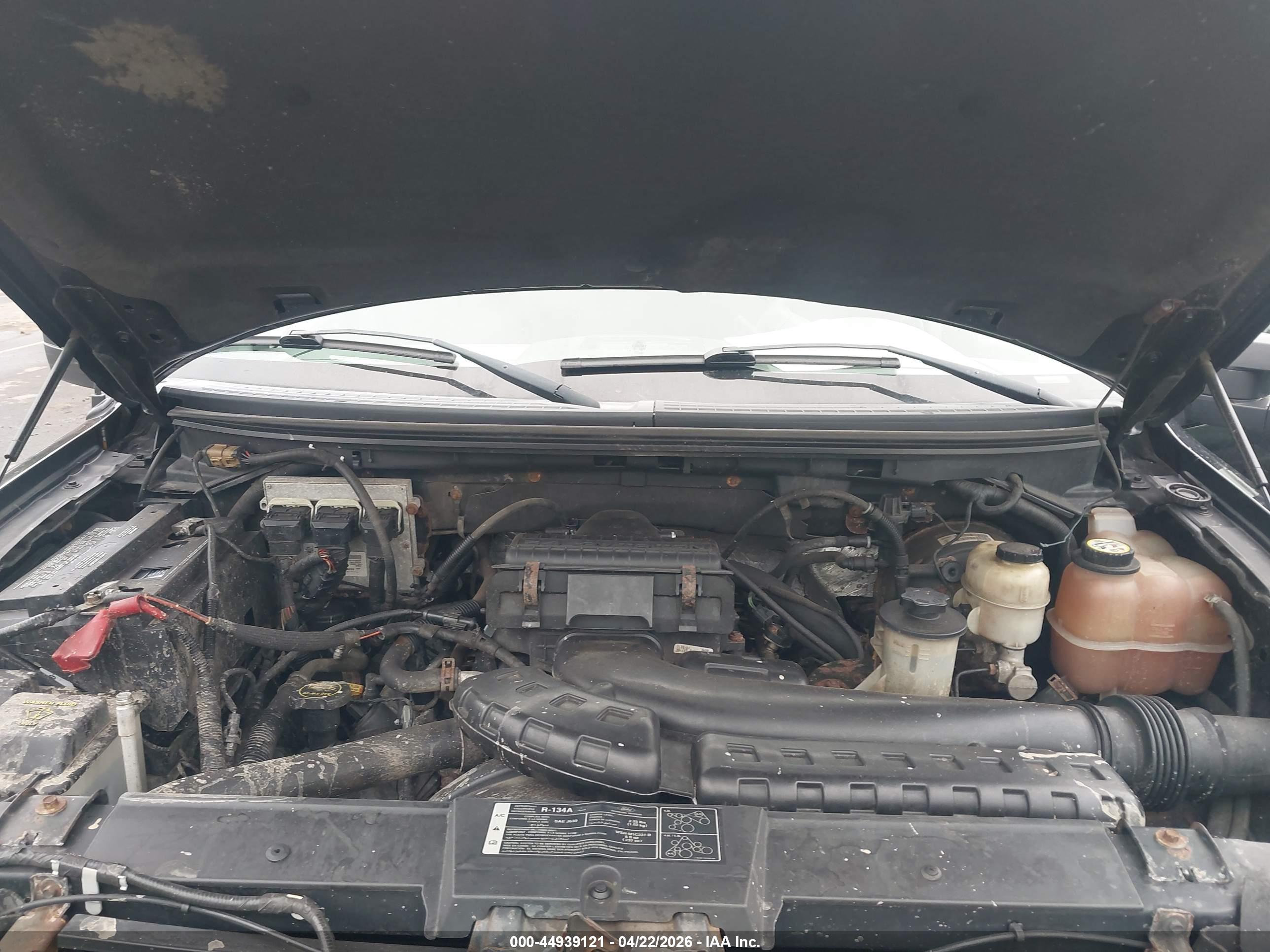 FORD F-150 image 10