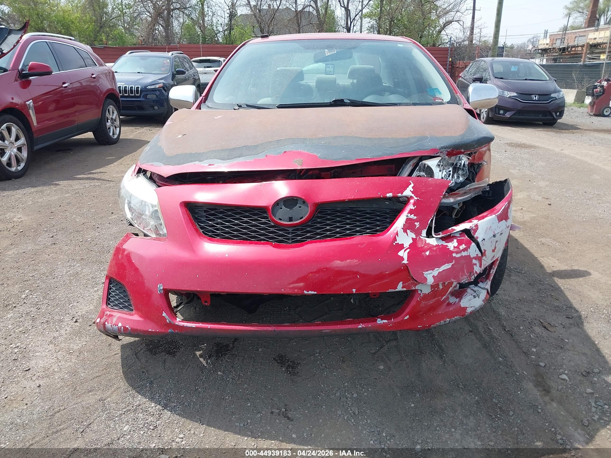 TOYOTA COROLLA image 6