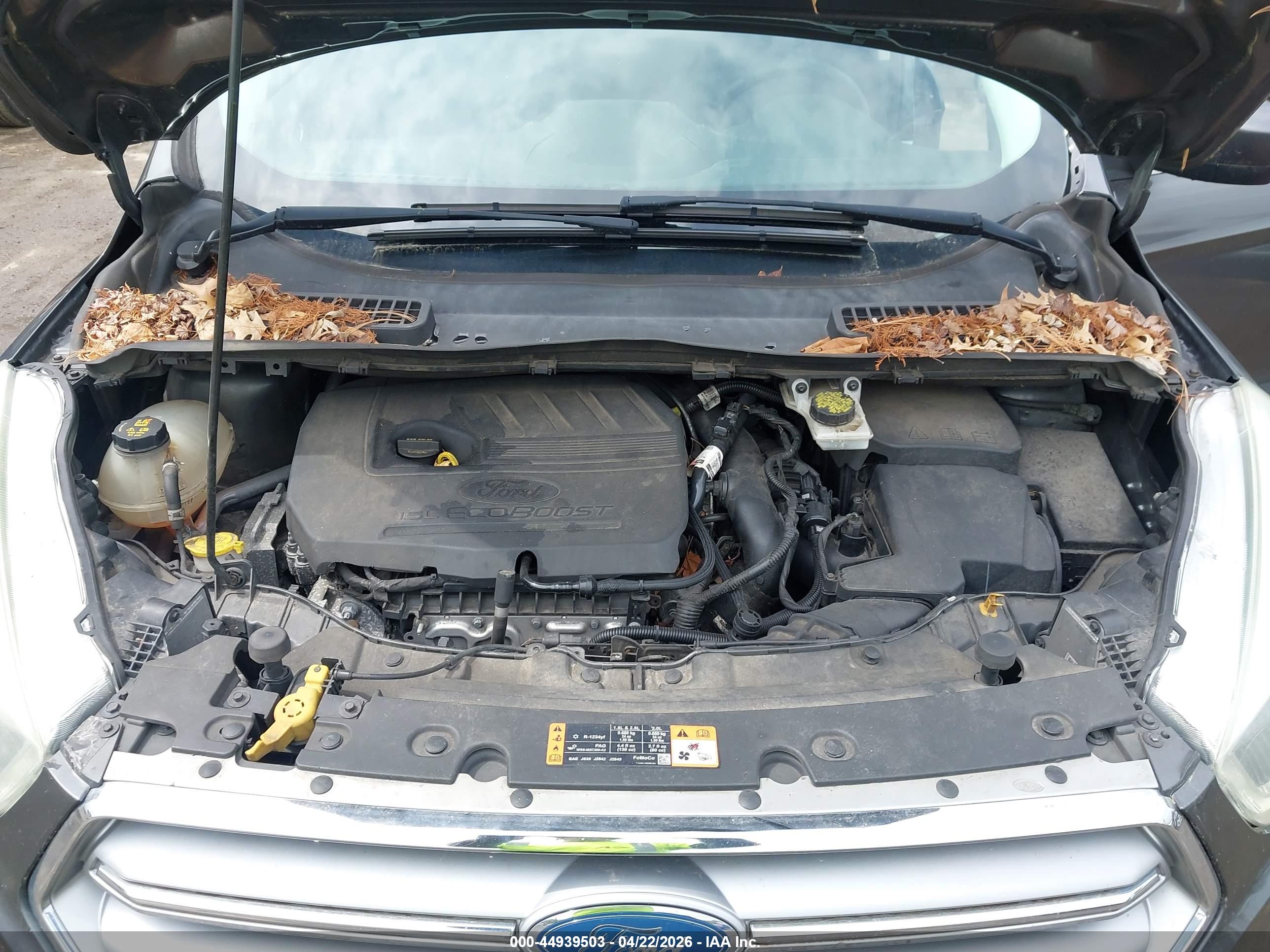 FORD ESCAPE image 10