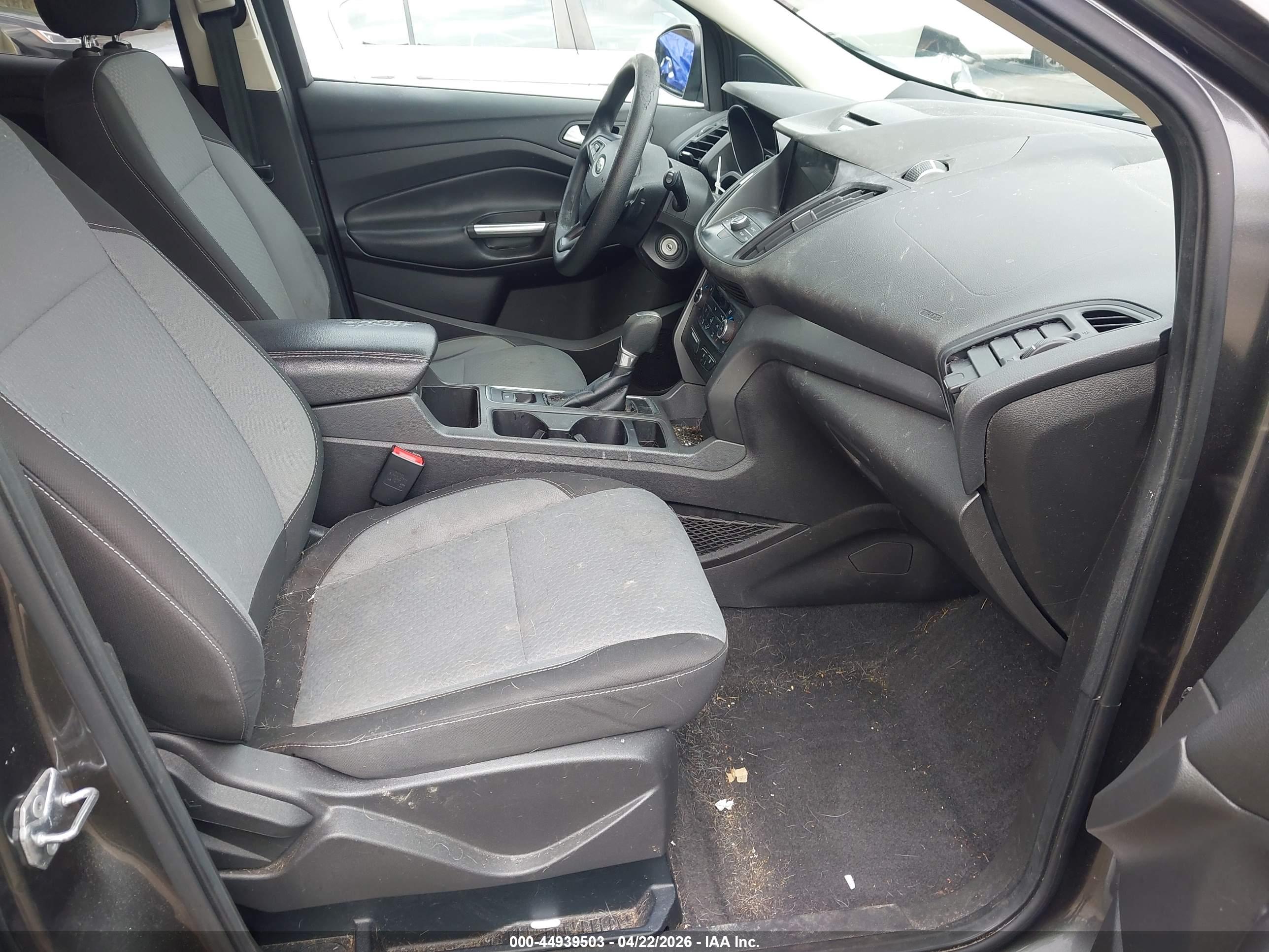 FORD ESCAPE image 5