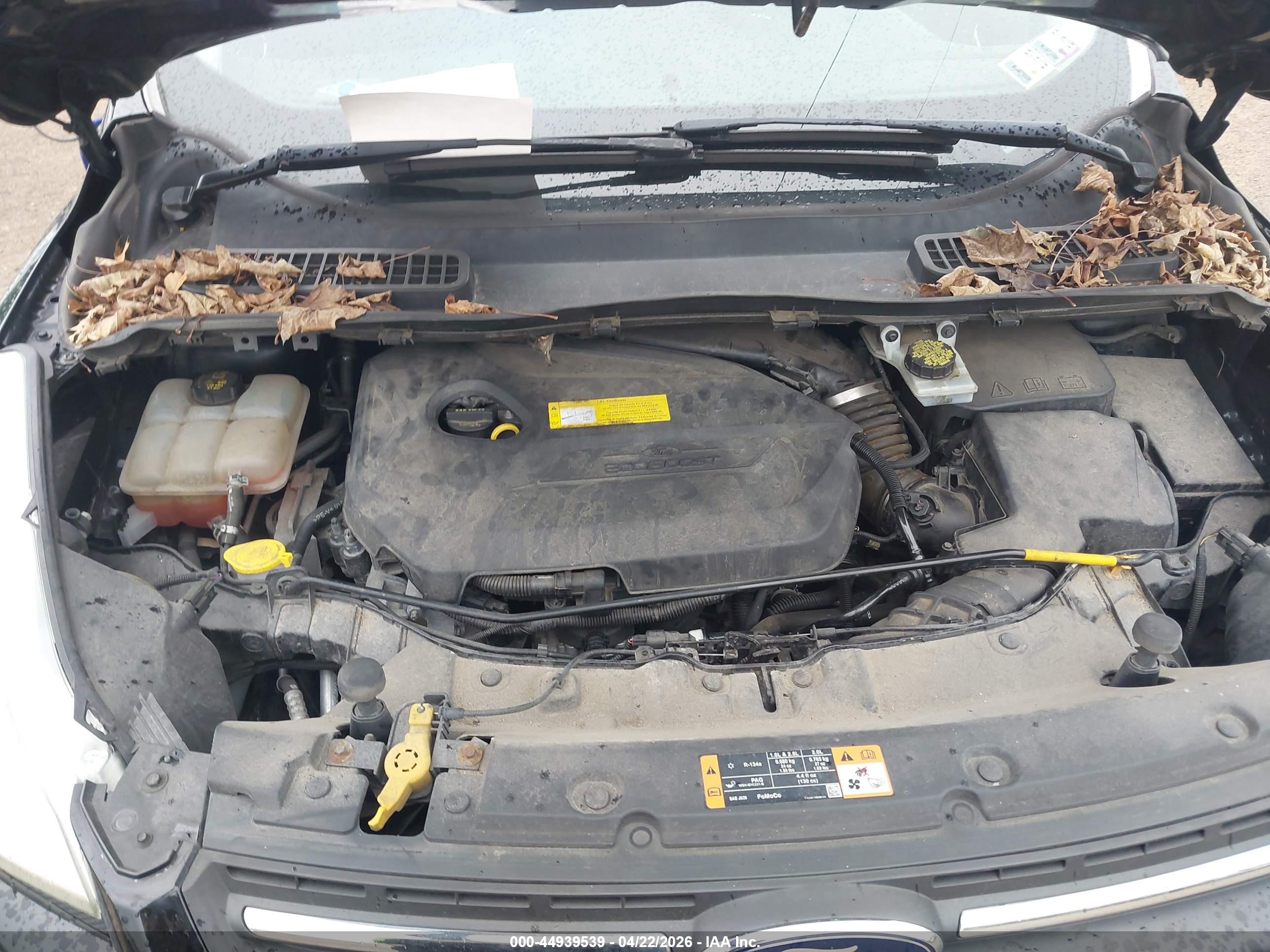 FORD ESCAPE image 10