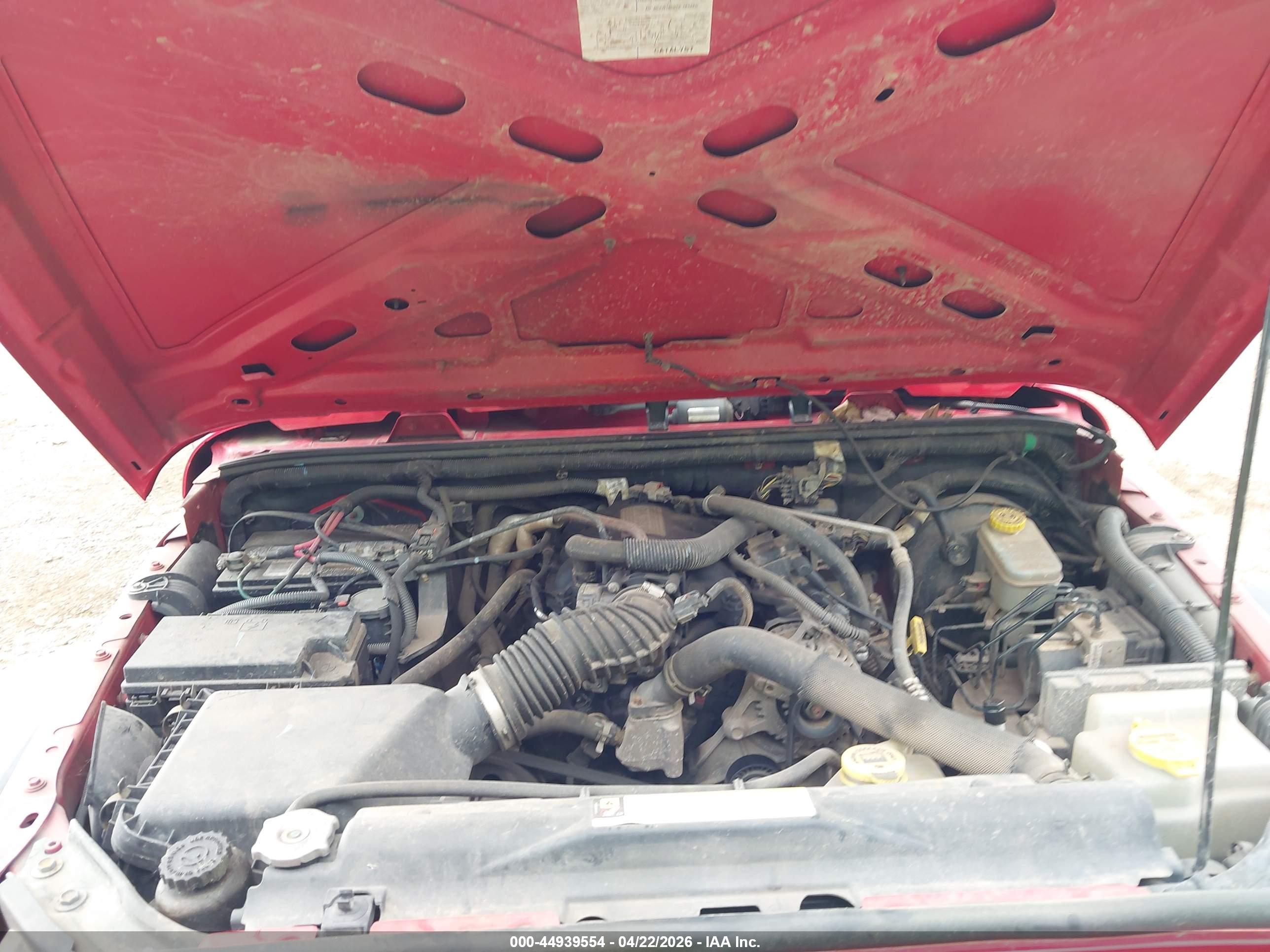 JEEP WRANGLER image 10