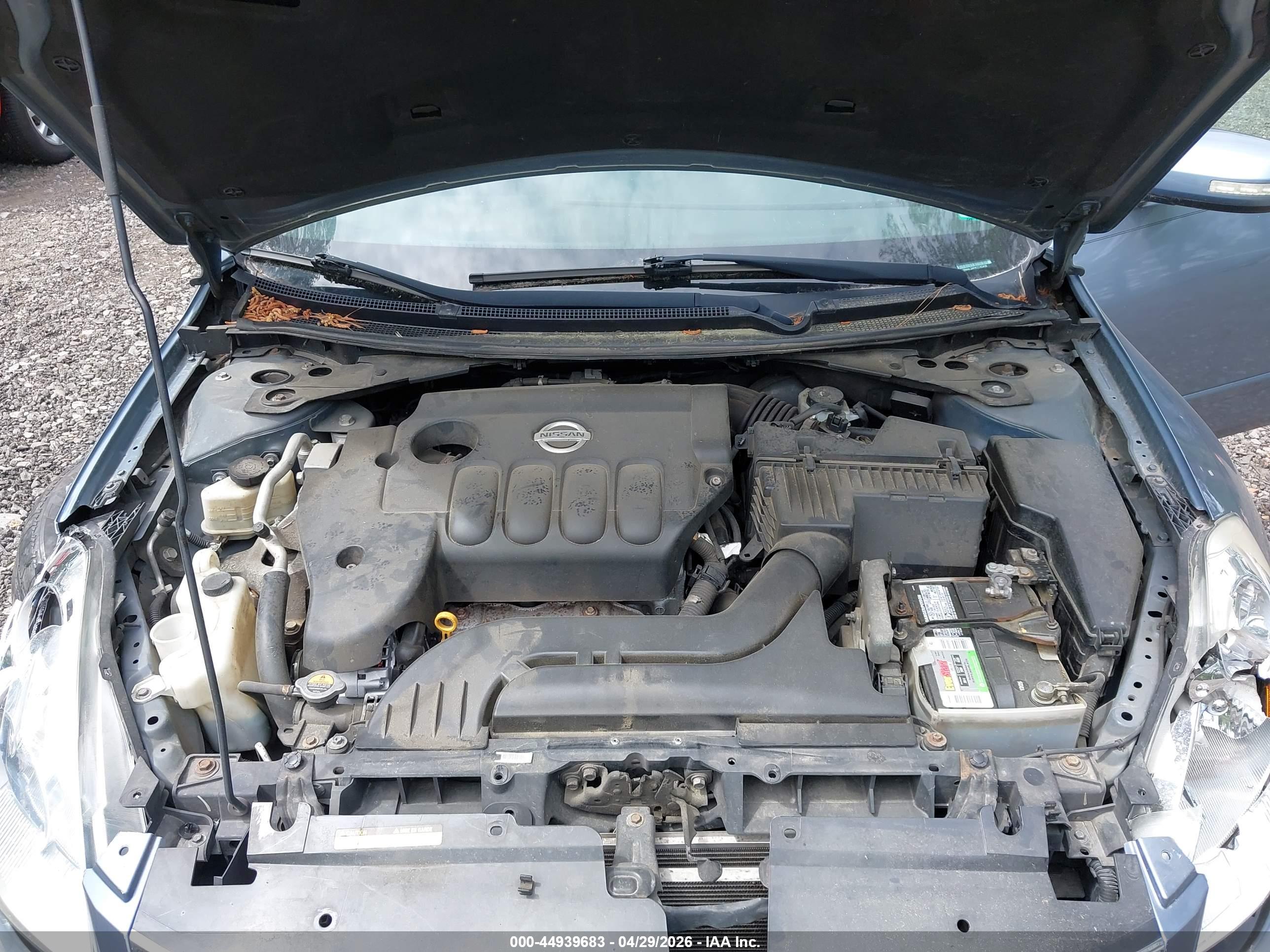 NISSAN ALTIMA image 10