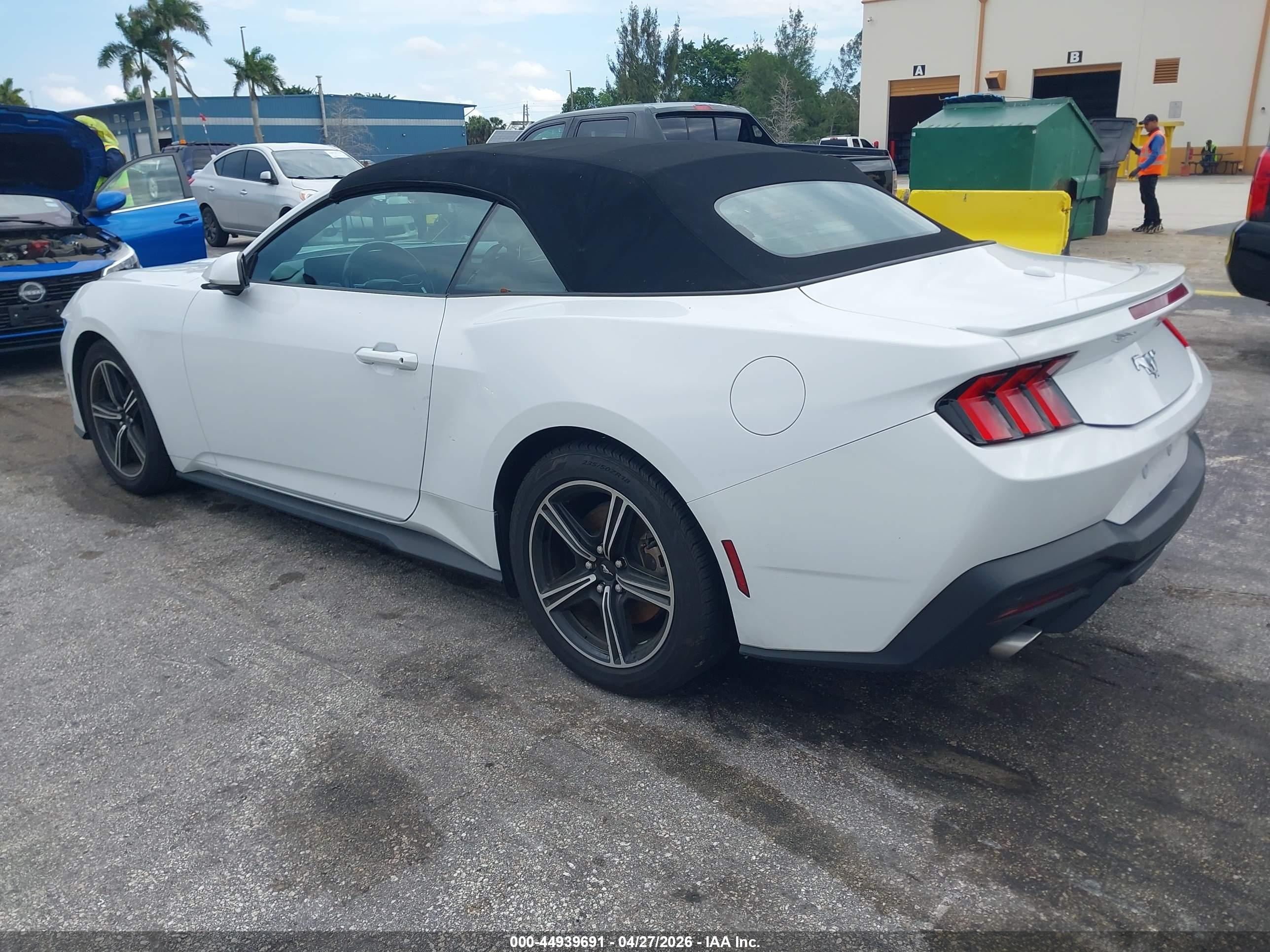 FORD MUSTANG image 3