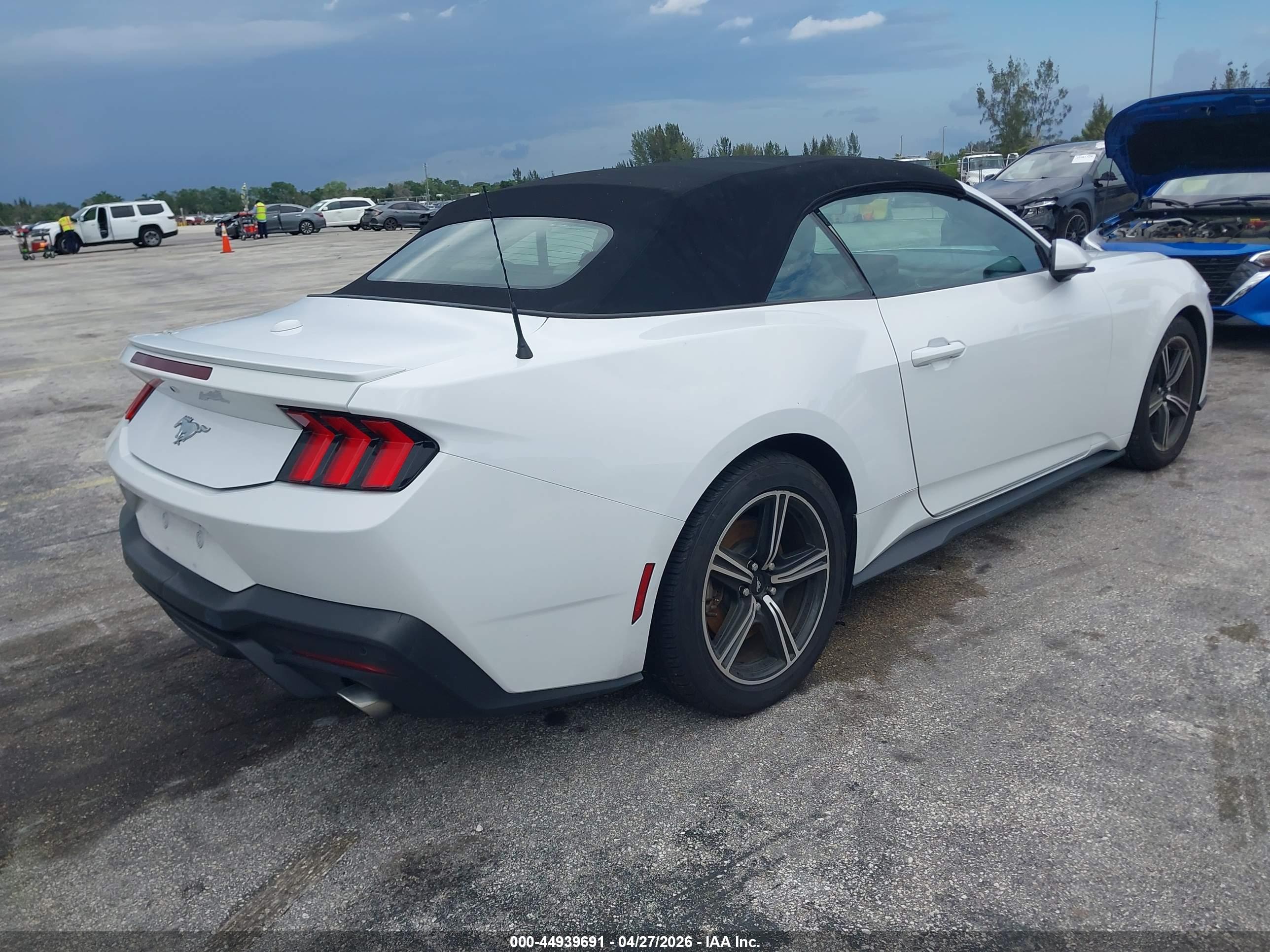 FORD MUSTANG image 4