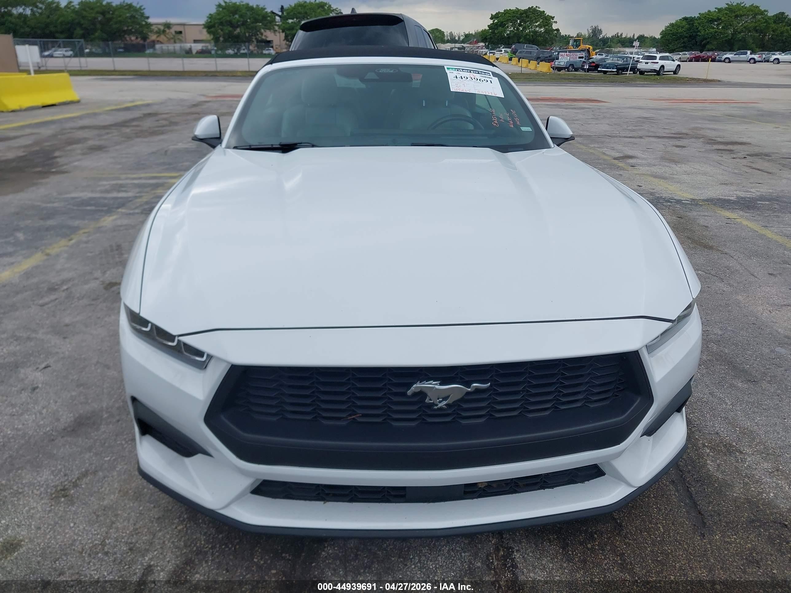 FORD MUSTANG image 6