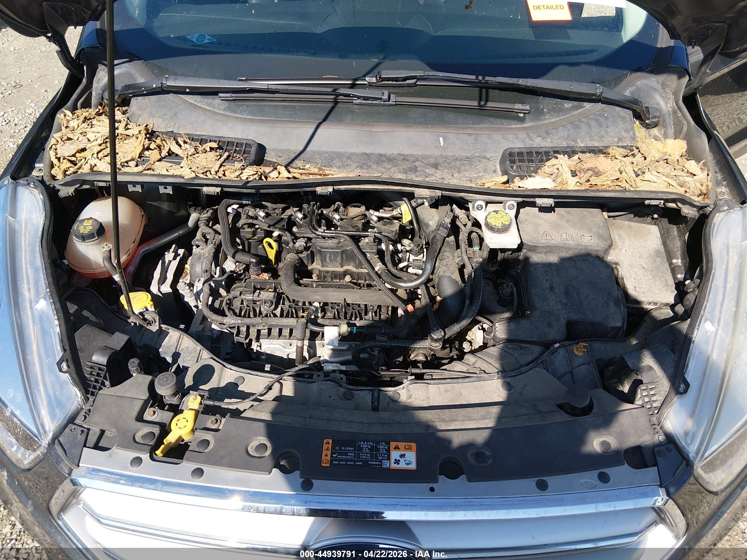 FORD ESCAPE image 10