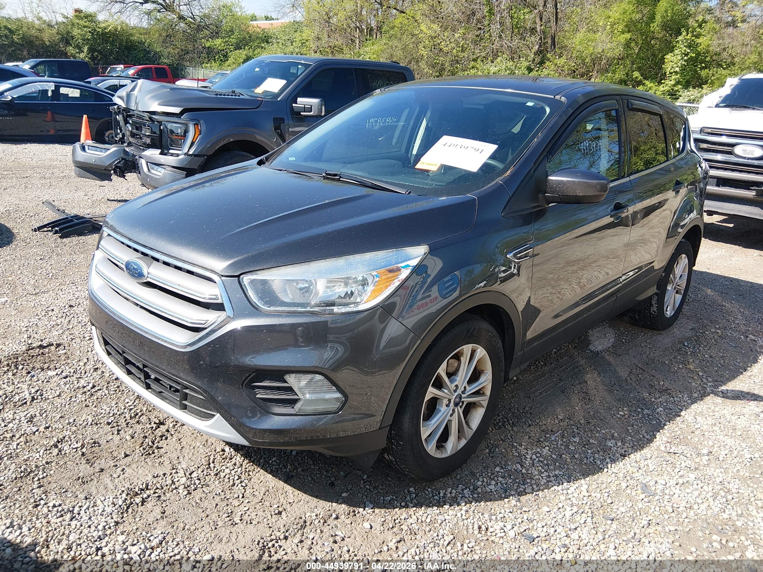 FORD ESCAPE image 2