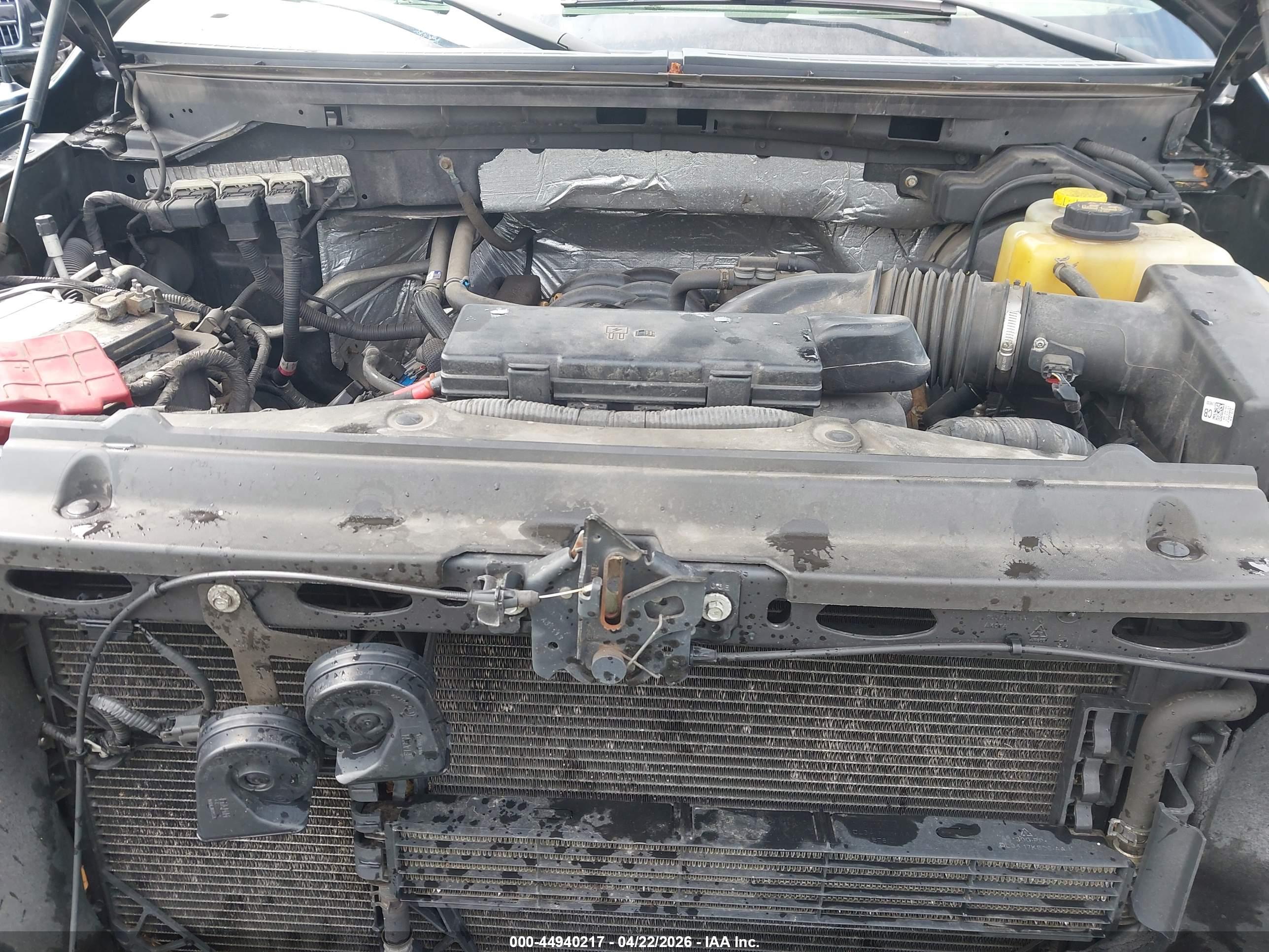 FORD F150 image 10