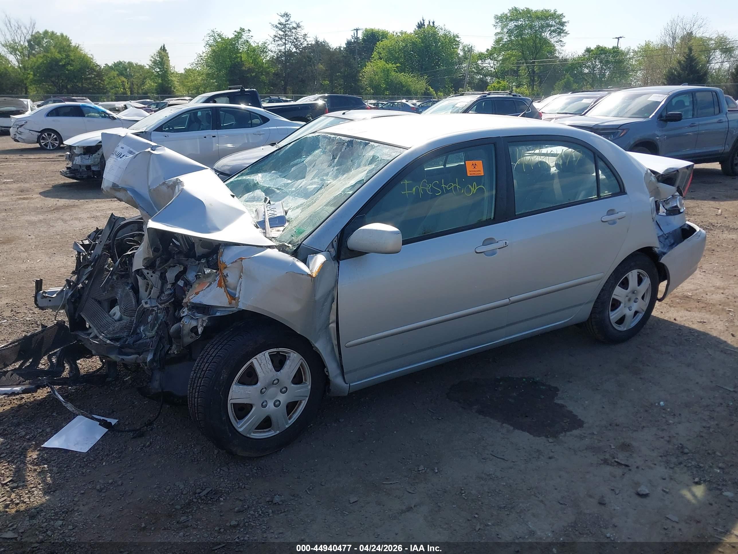 TOYOTA COROLLA image 2
