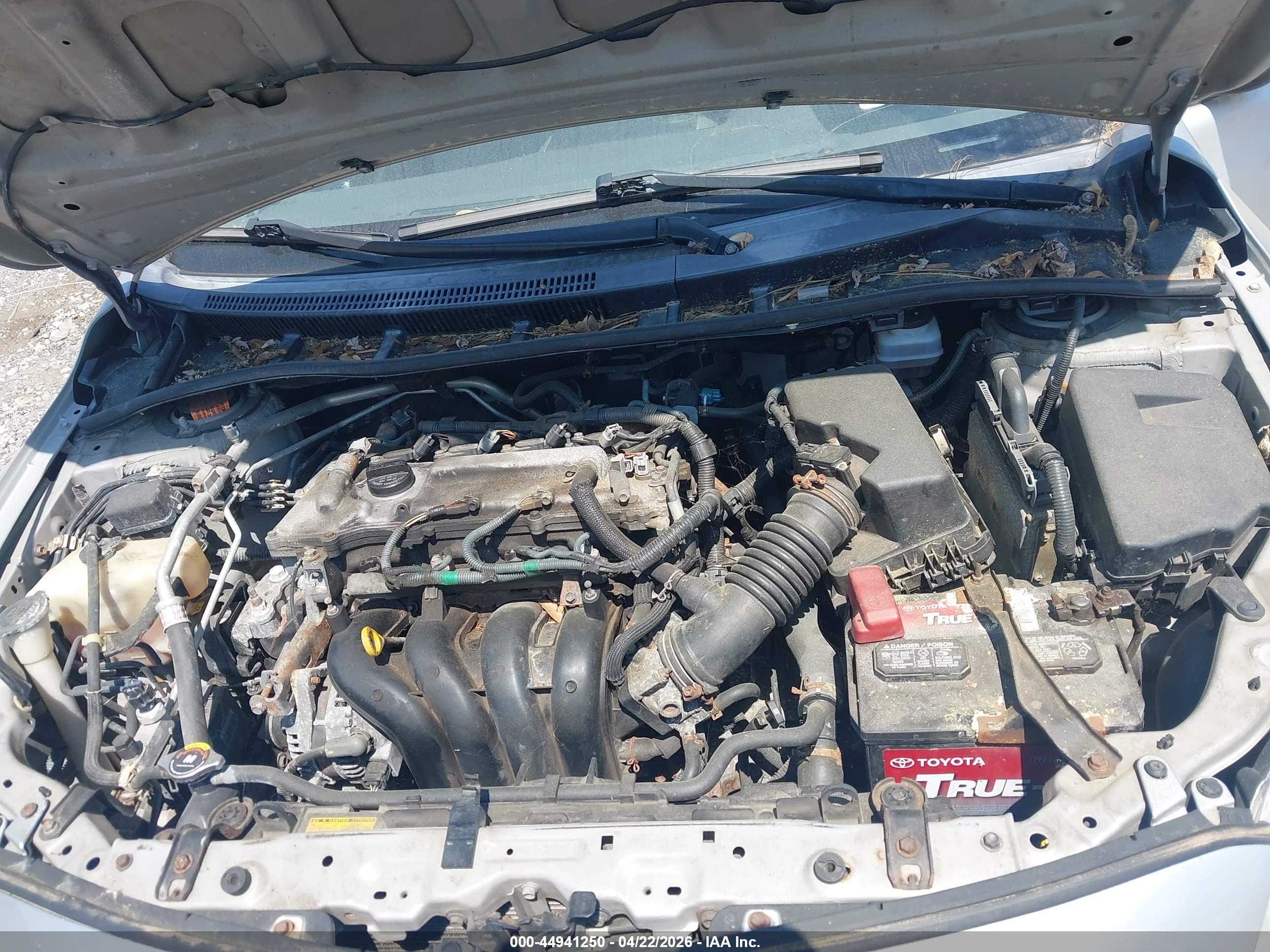 TOYOTA COROLLA image 10